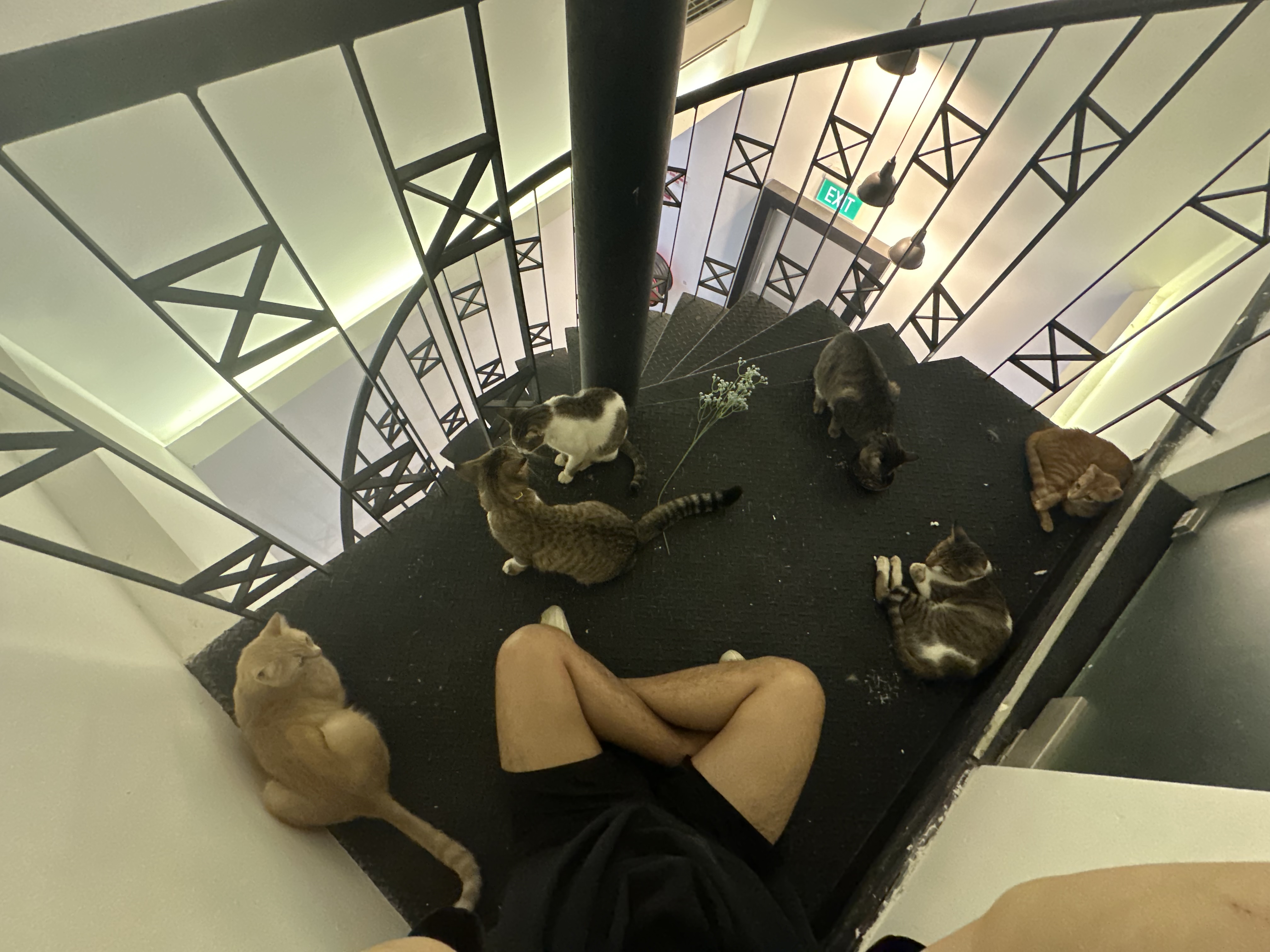 image-7