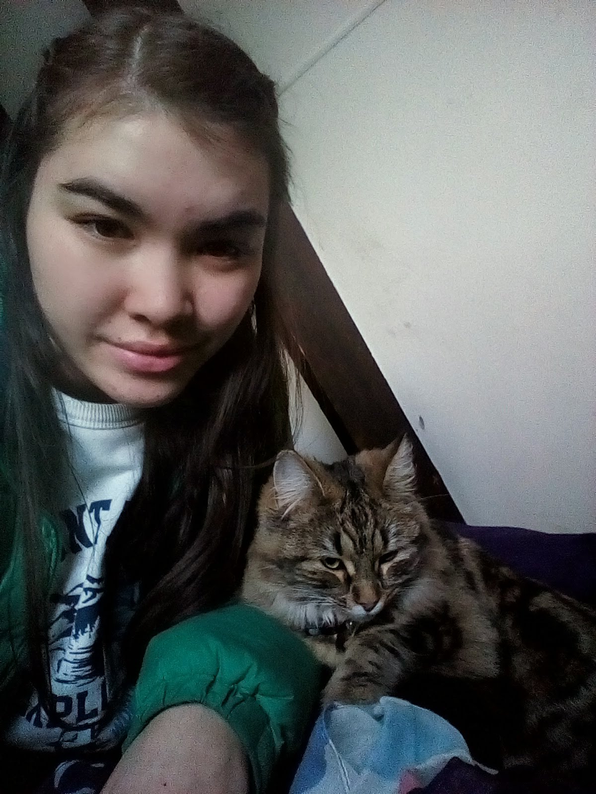 image-7