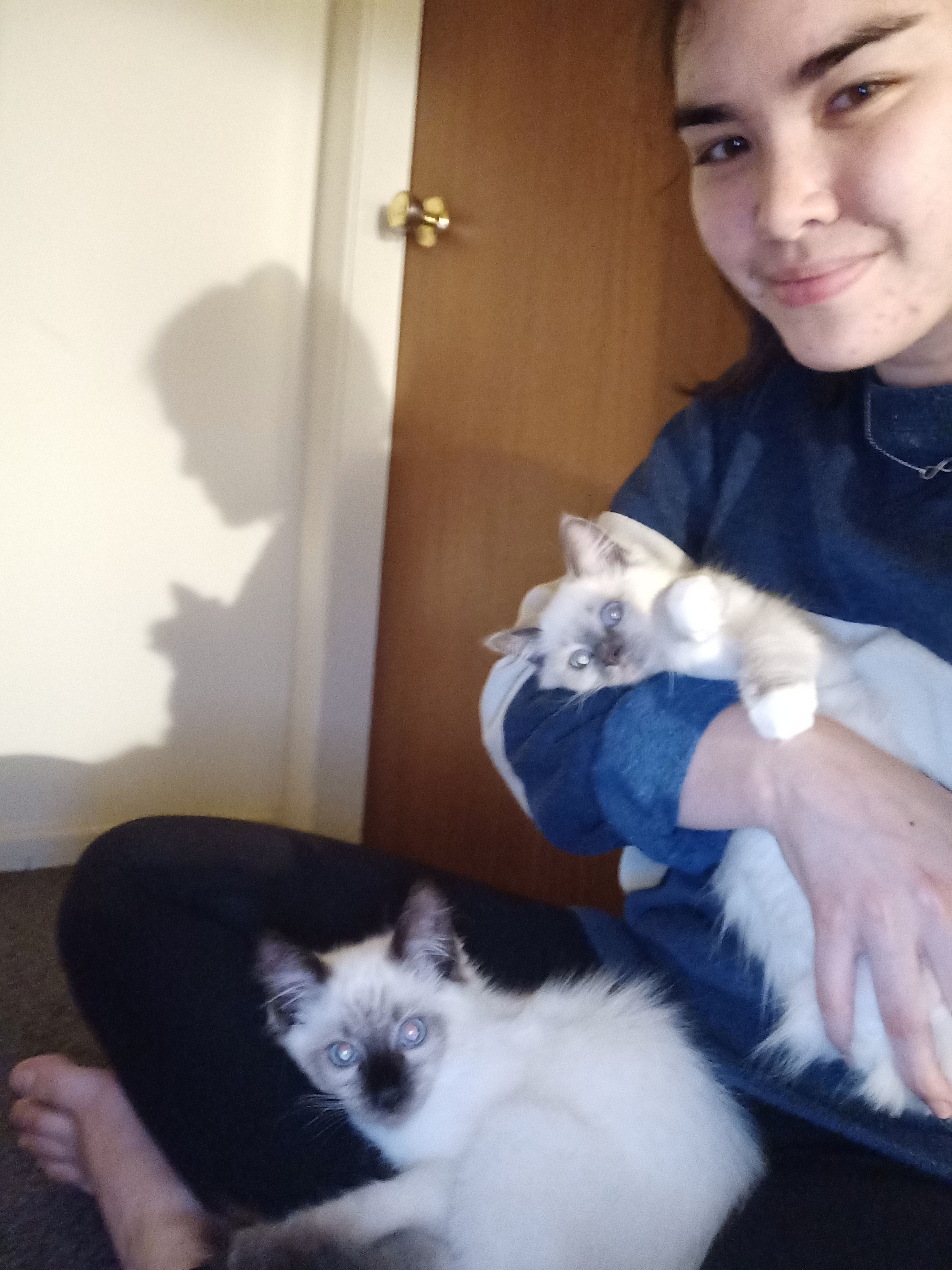 image-4