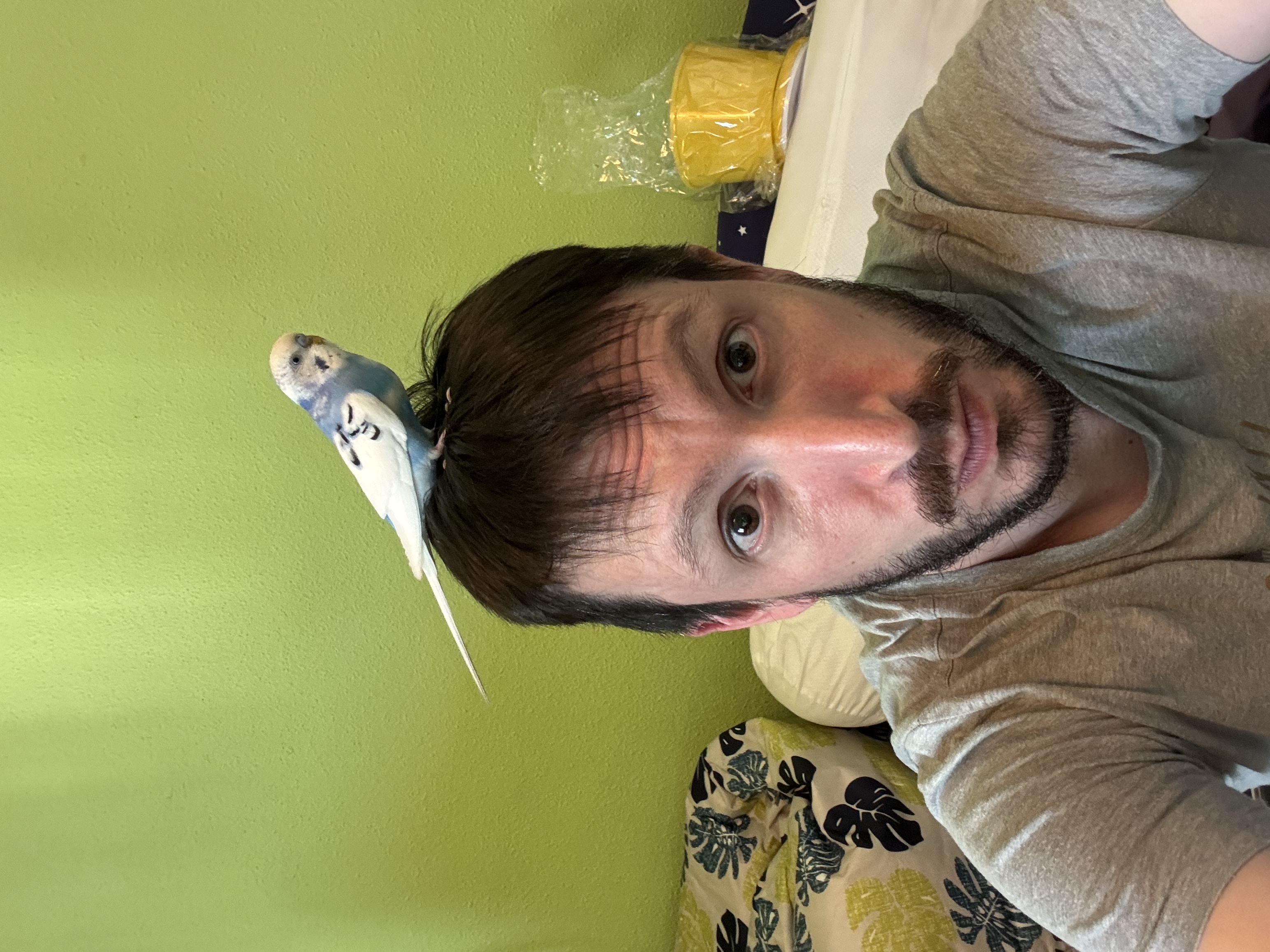 image-8