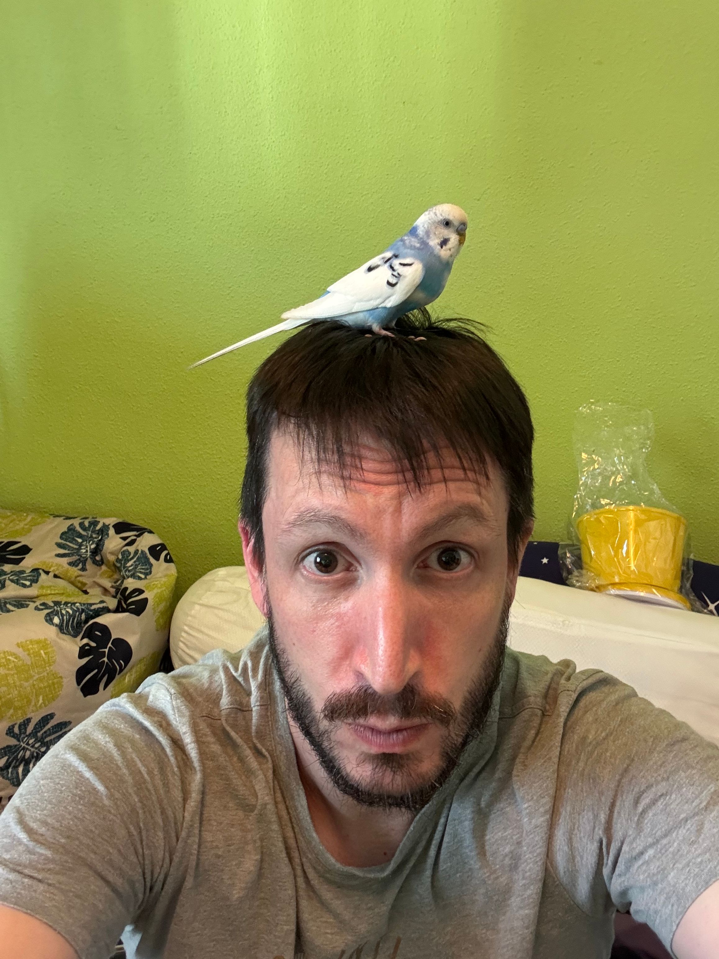 image-8