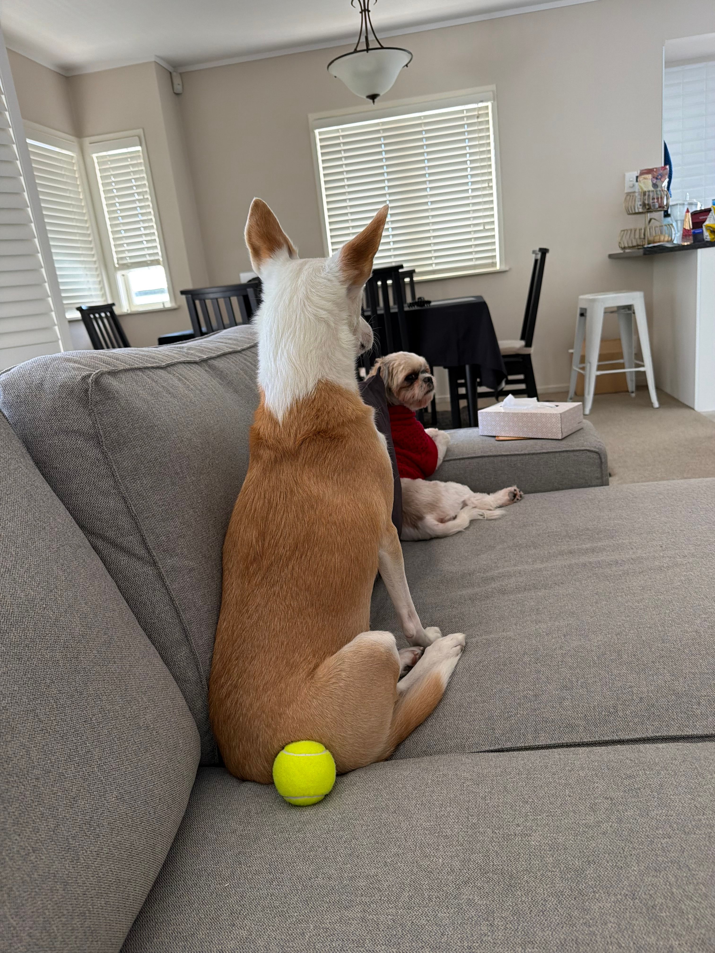 image-18