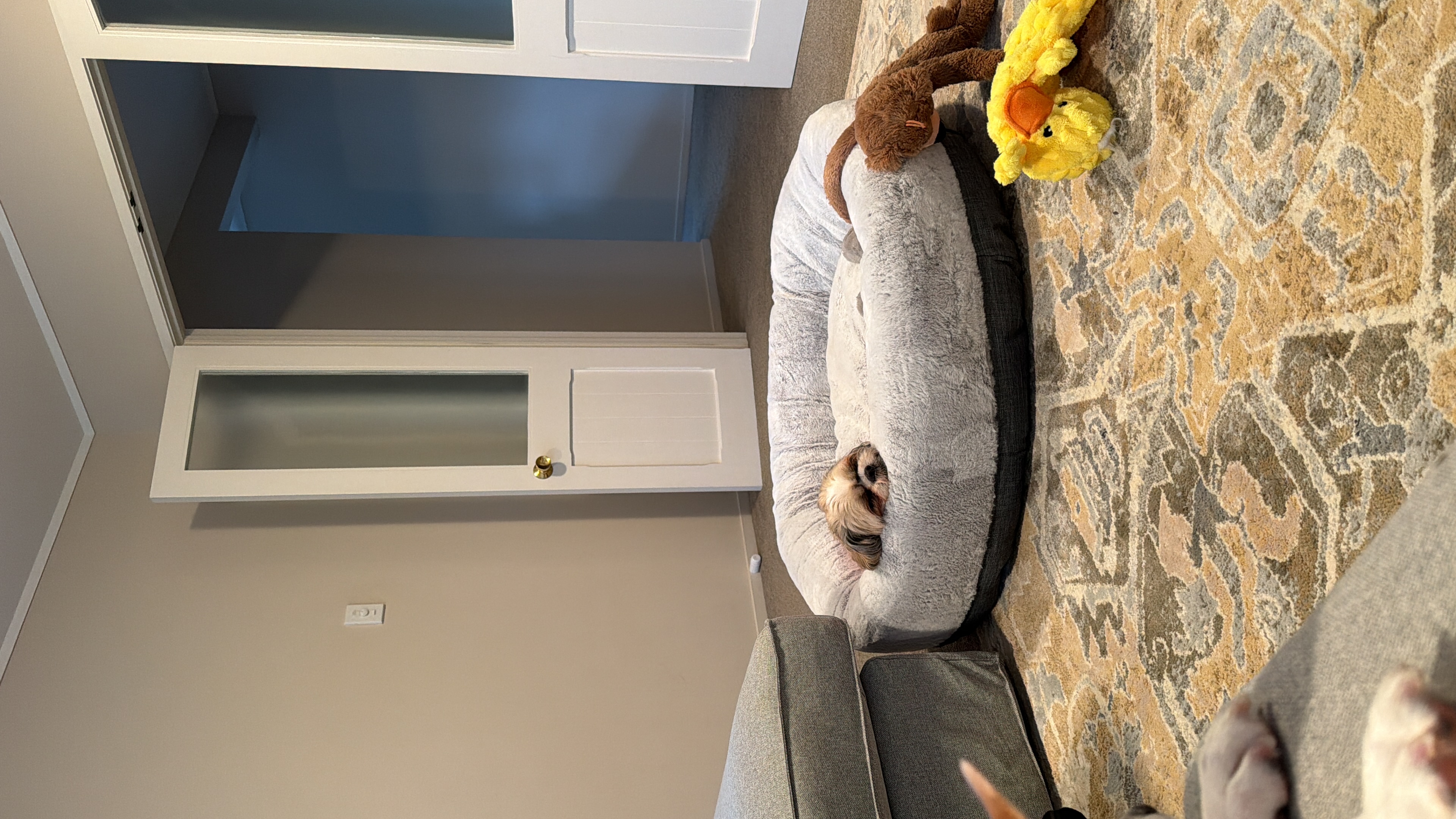 image-19