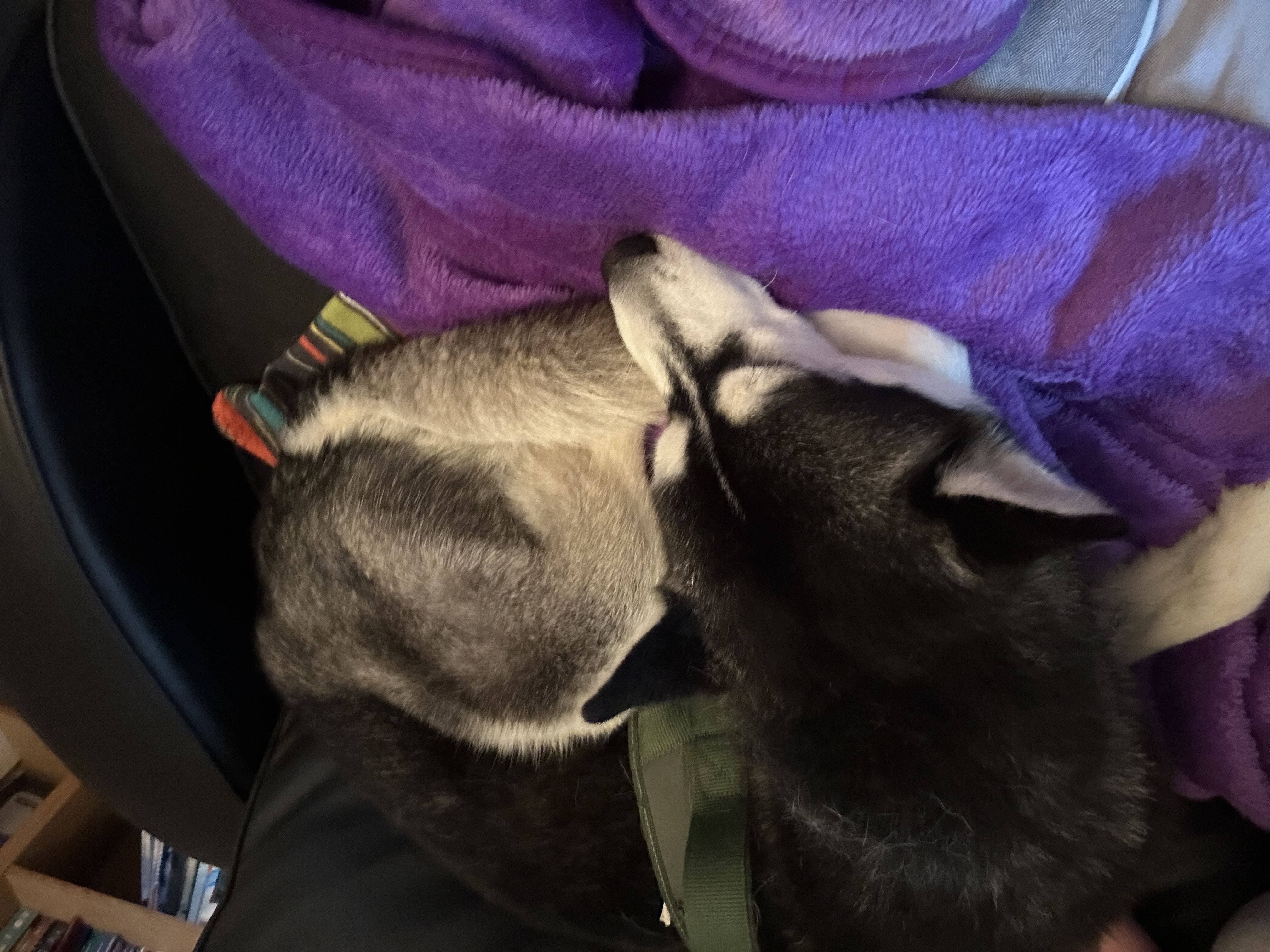image-9