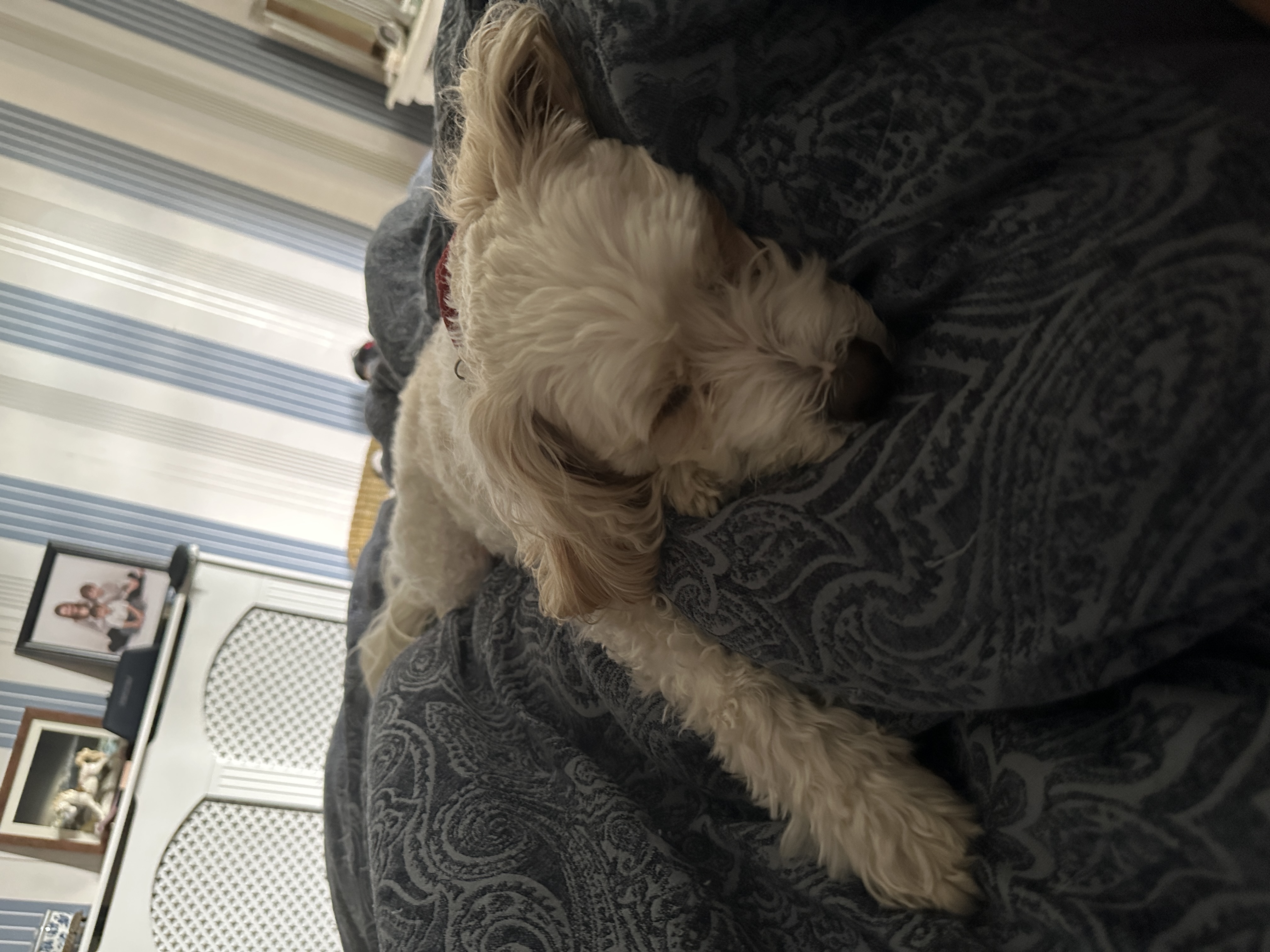 image-6