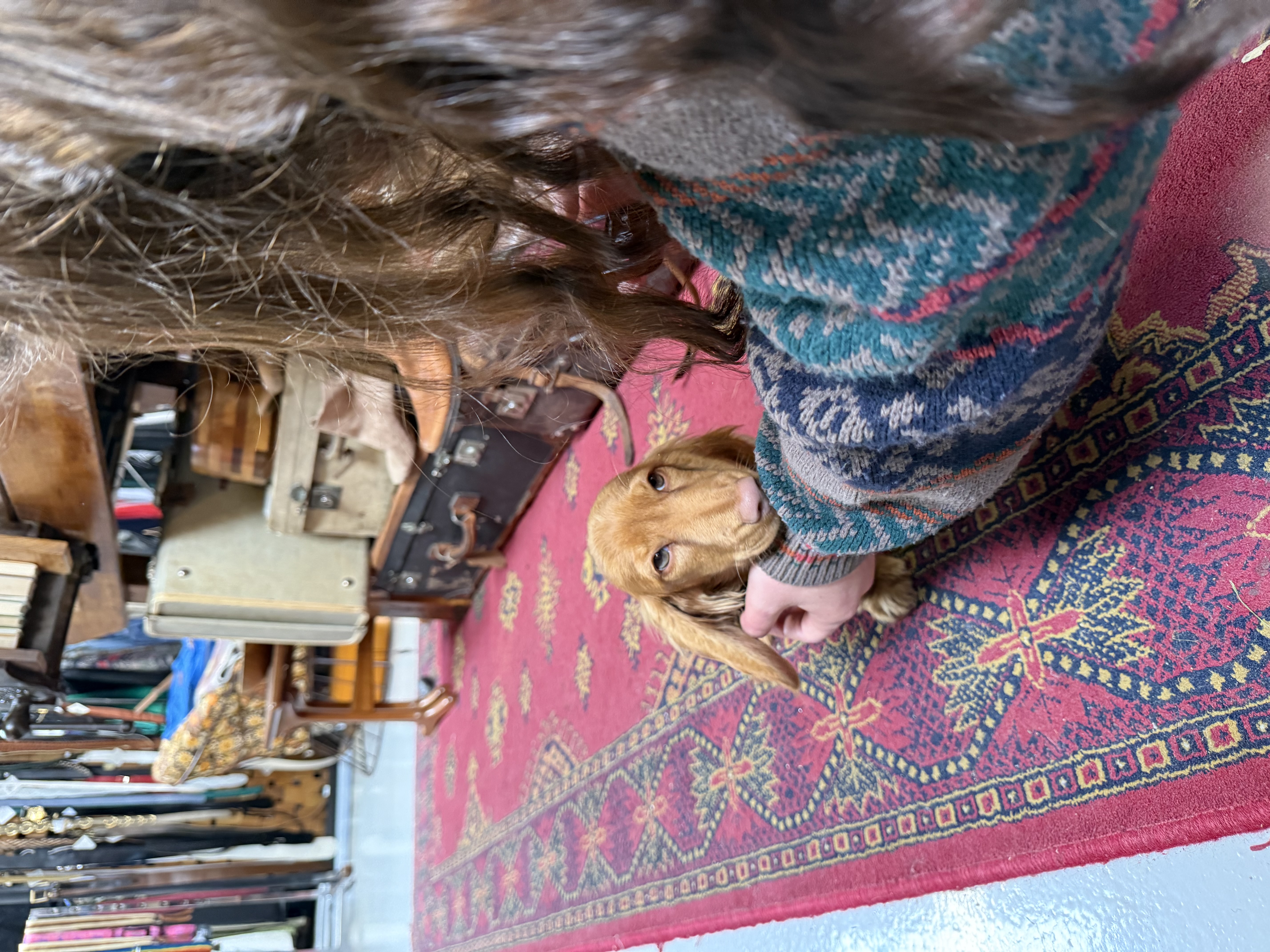 image-8