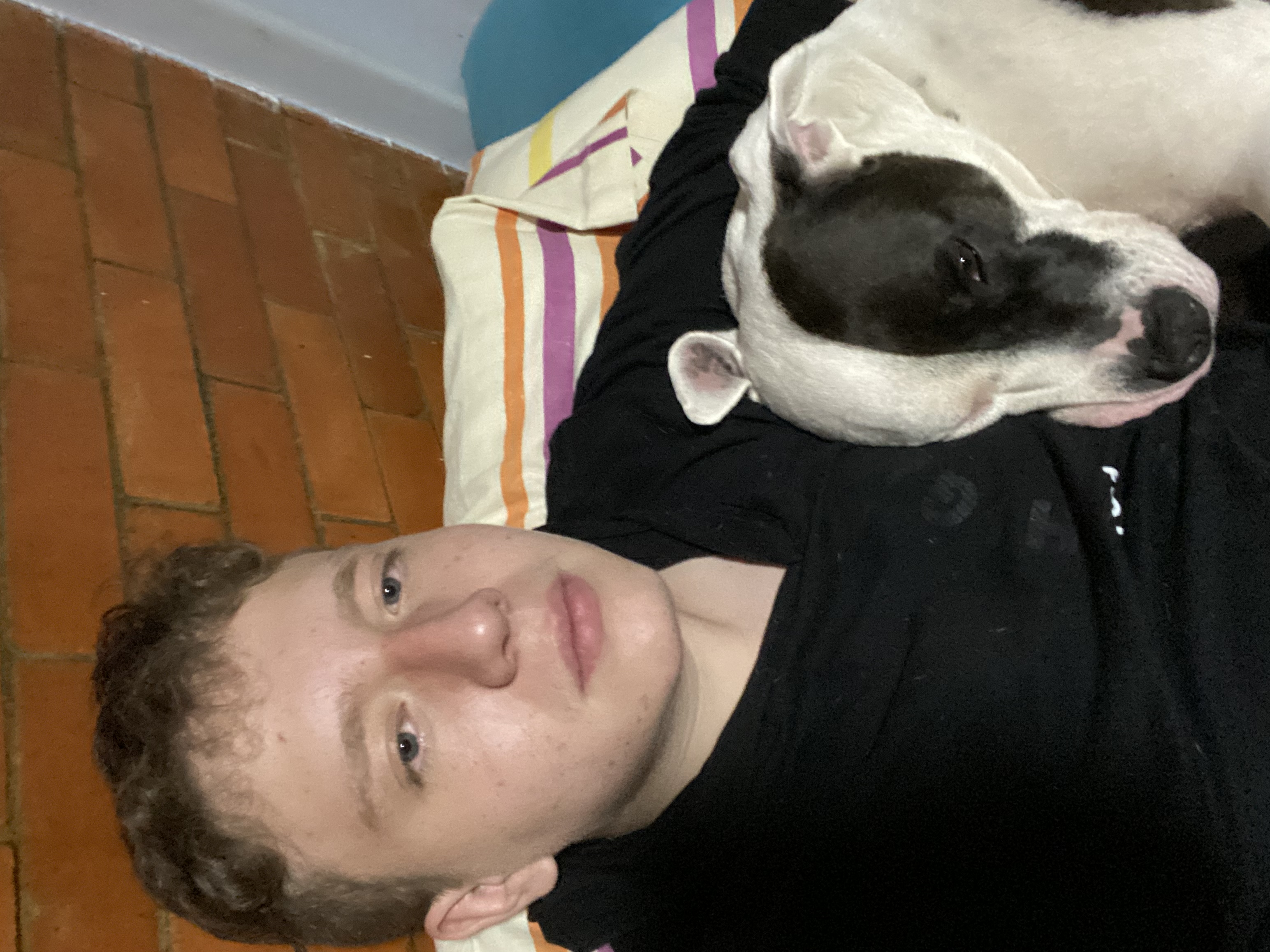 image-7