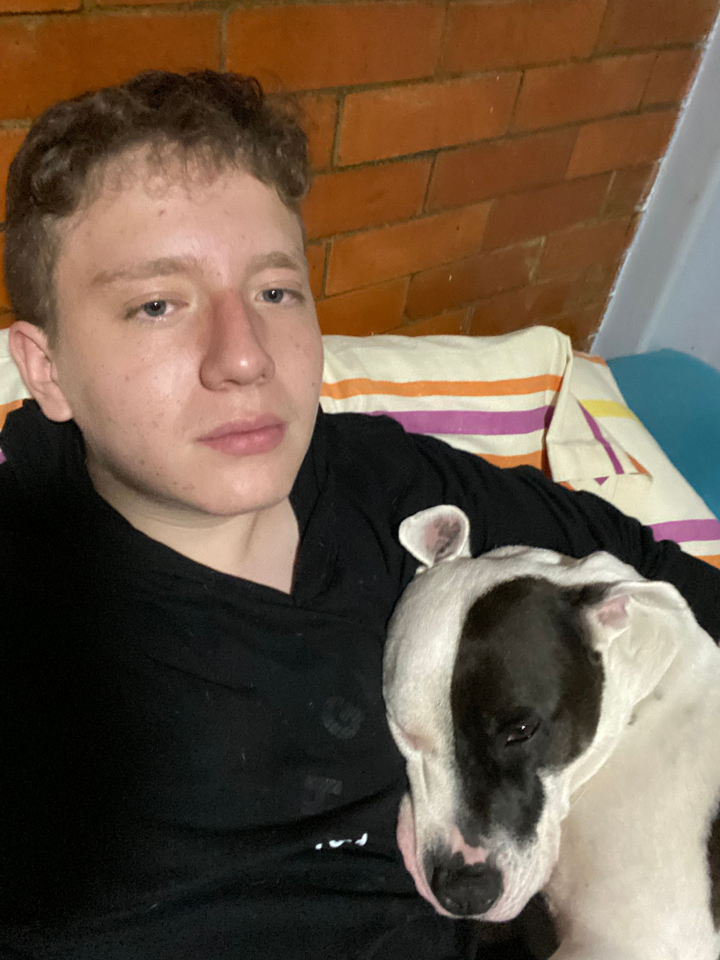 image-7