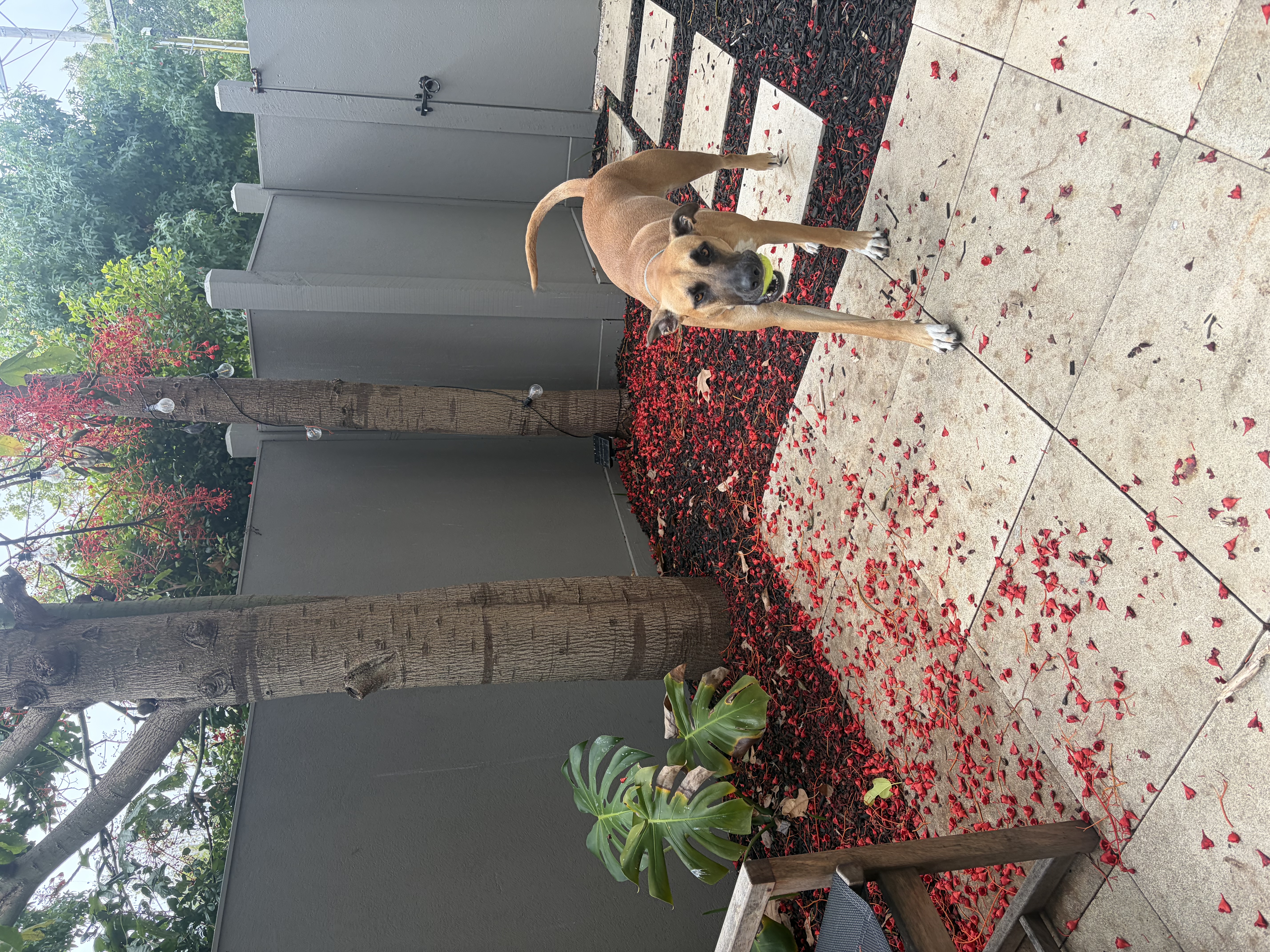 image-4