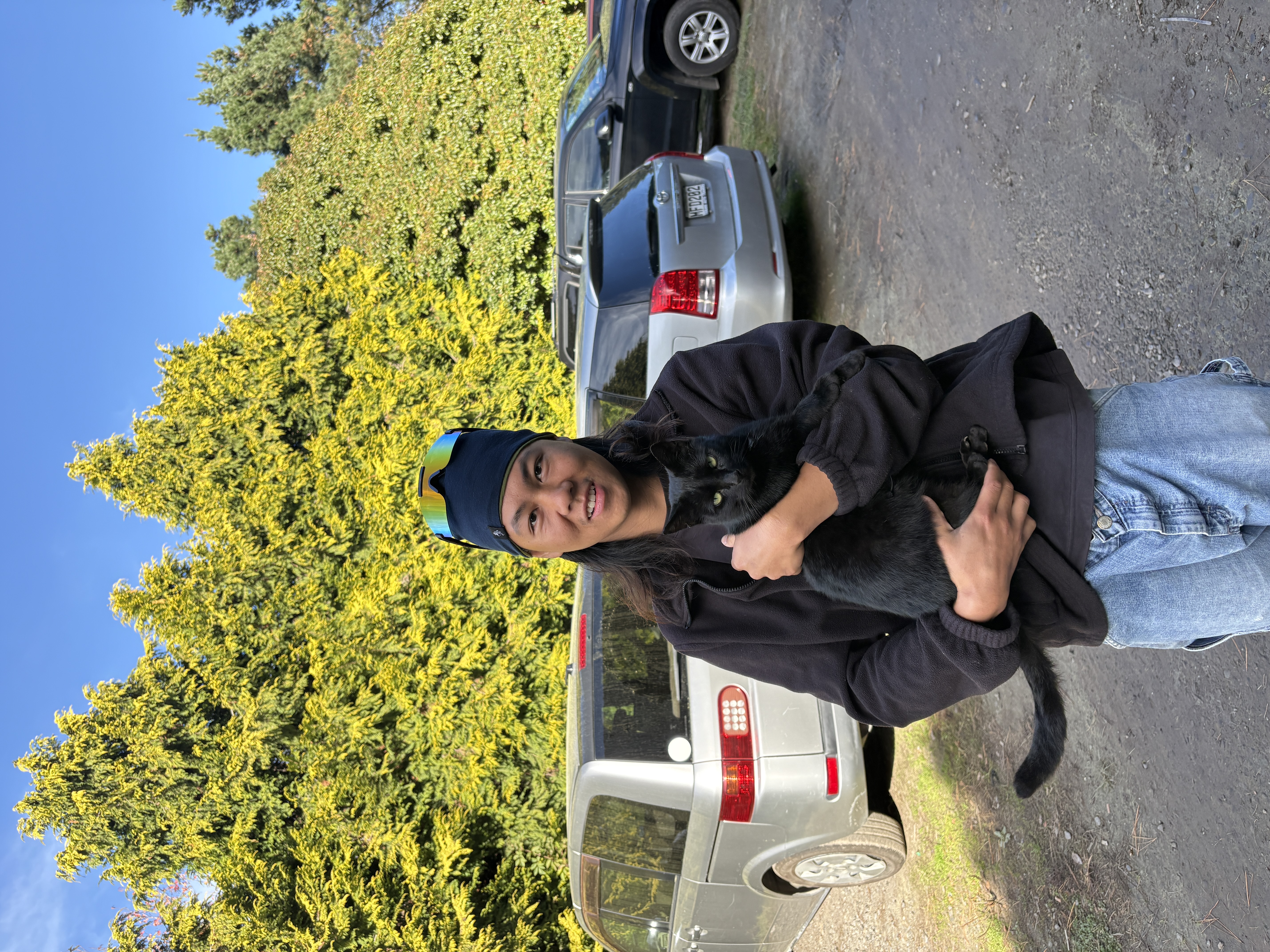 image-6