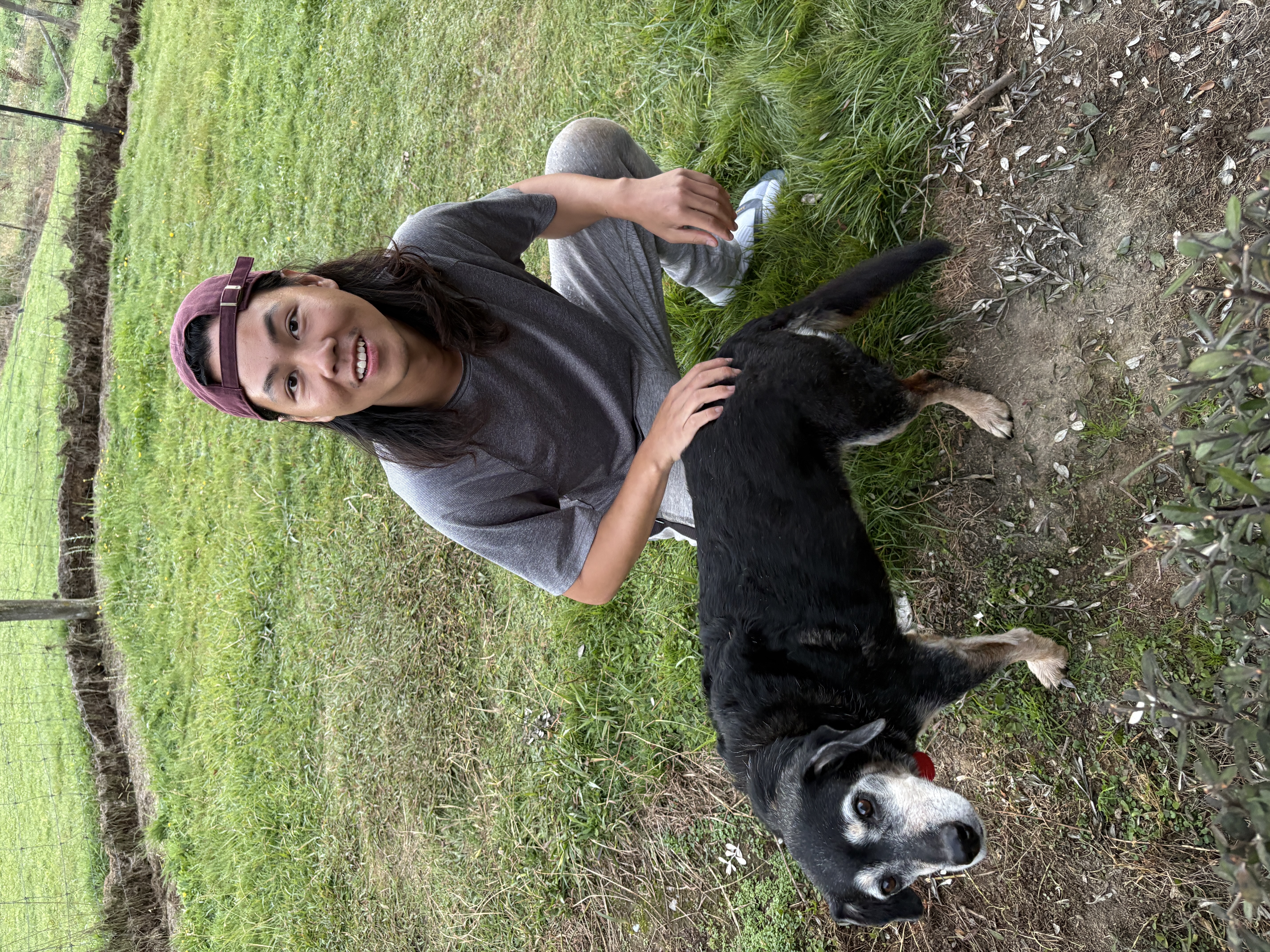 image-5