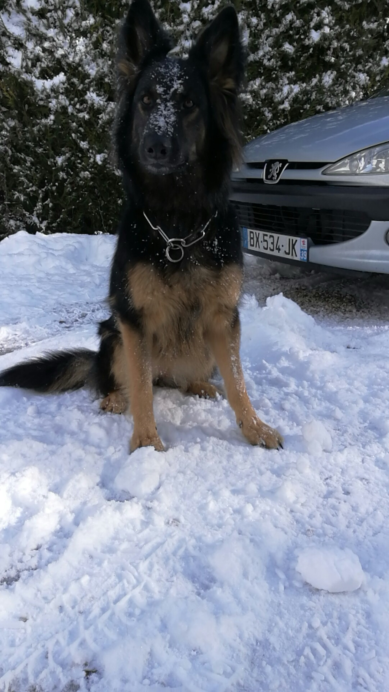 image-10