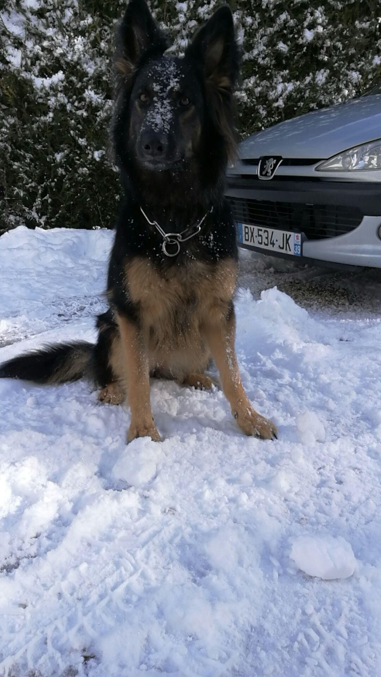 image-10