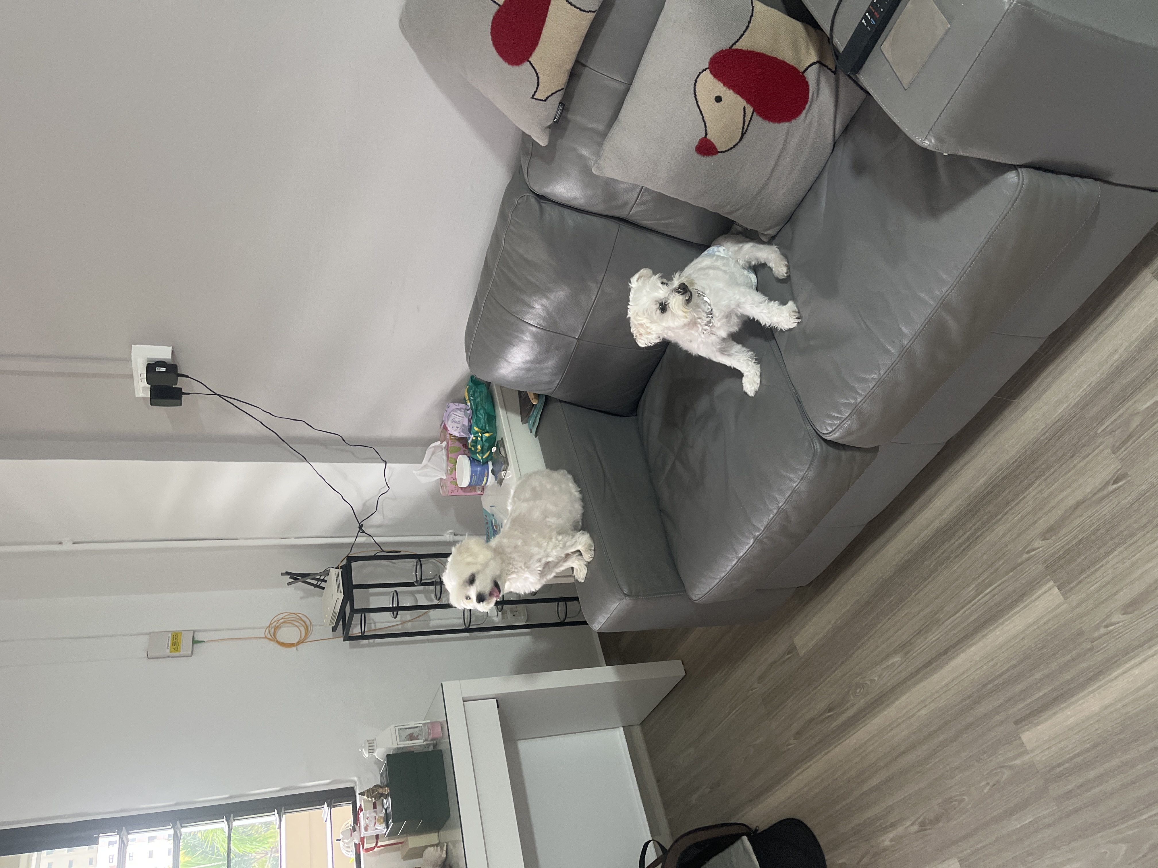 image-16