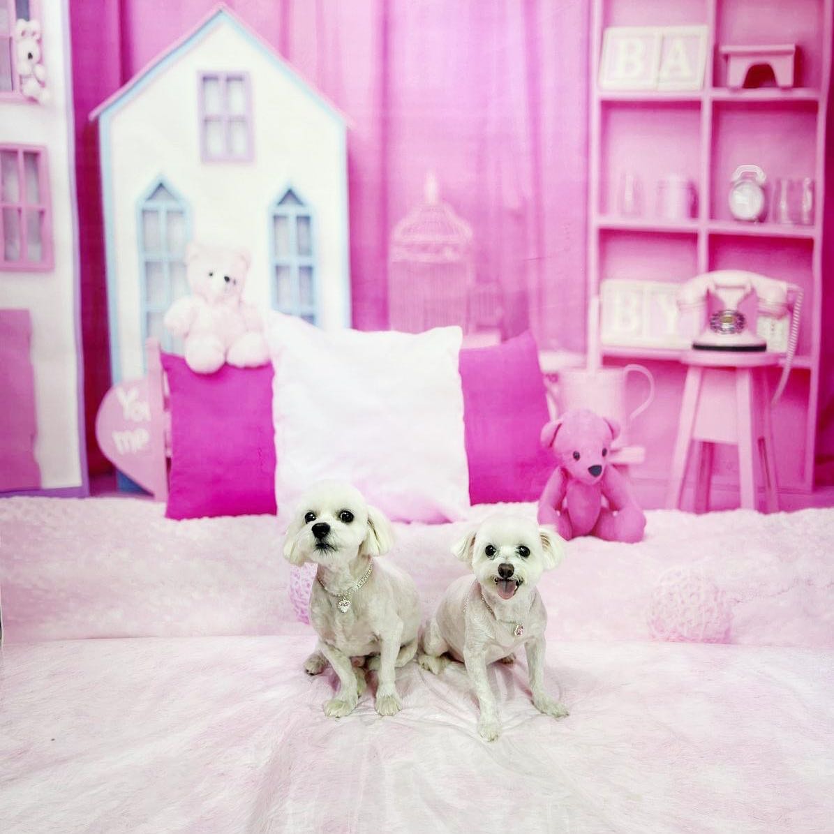 Baby & Paris 