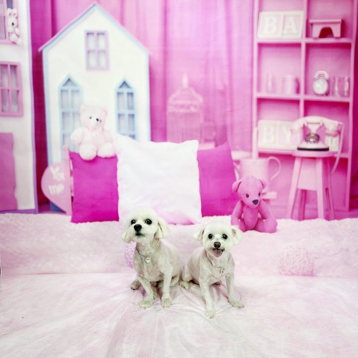 Baby & Paris