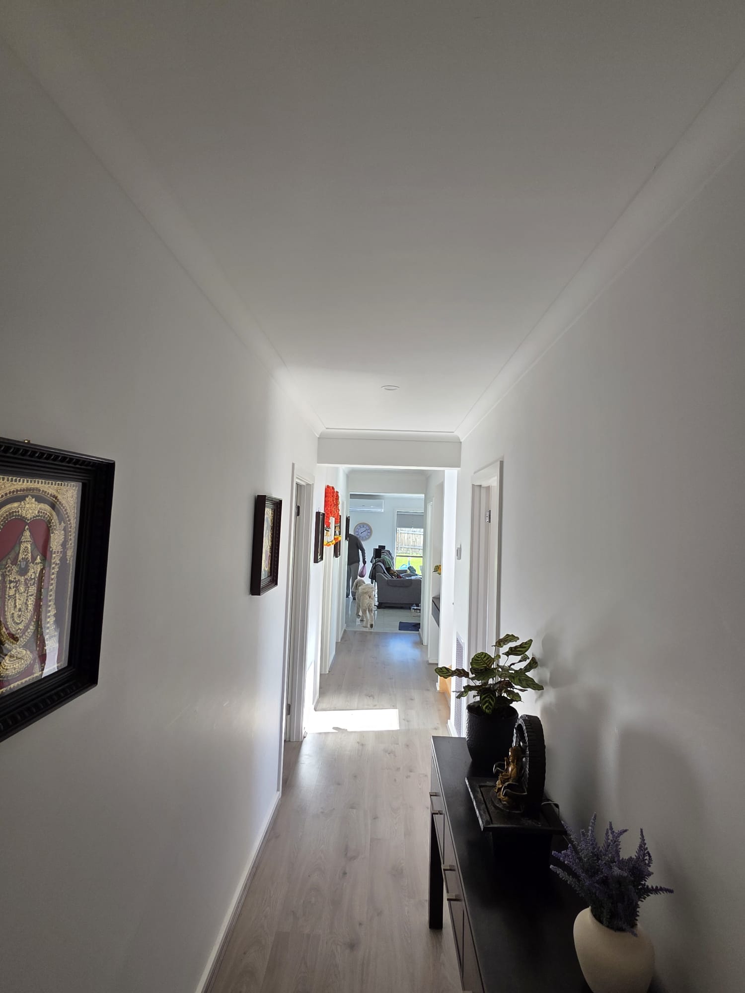 image-19