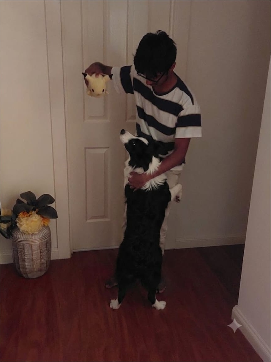 image-7