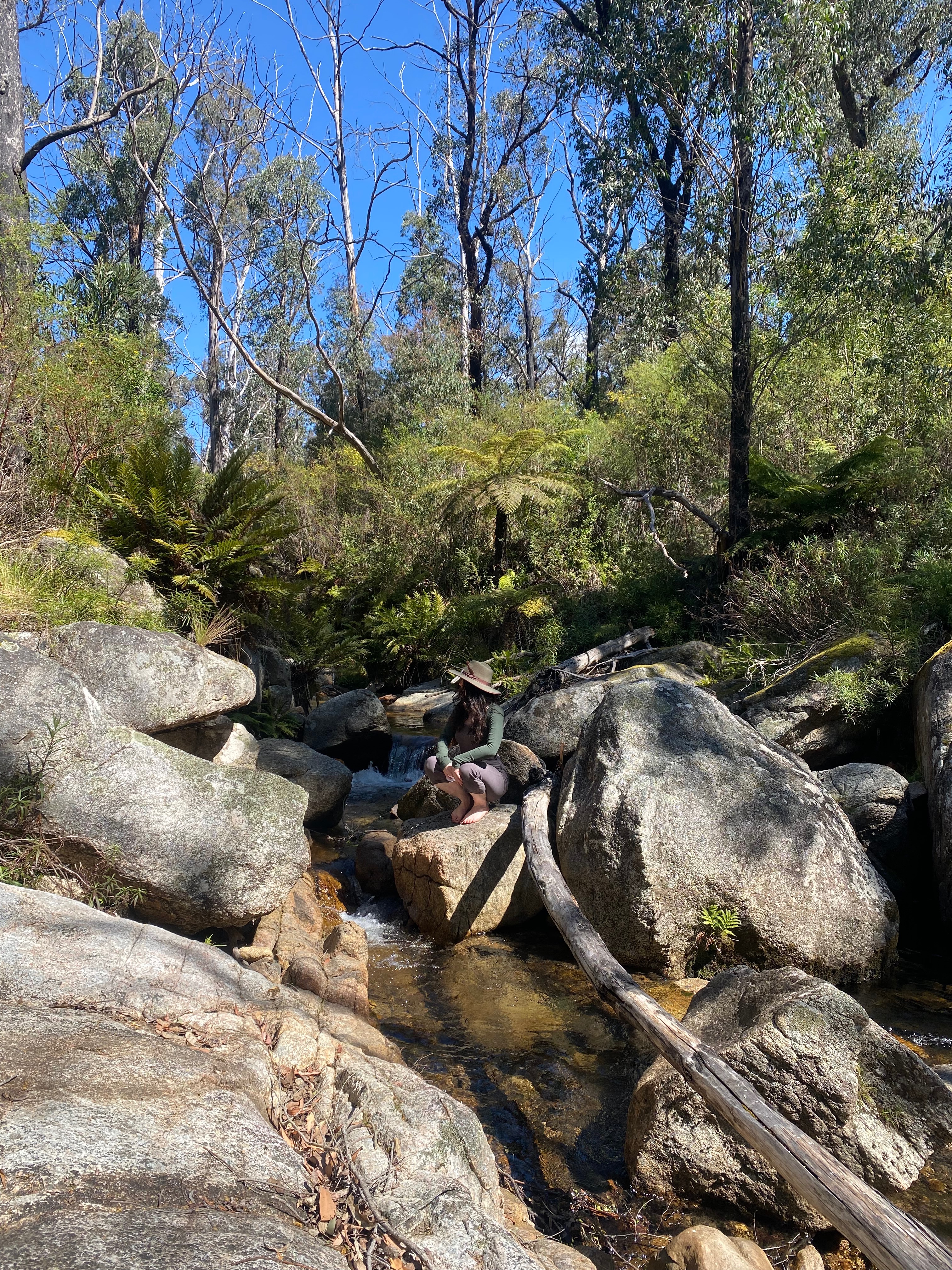 image-3