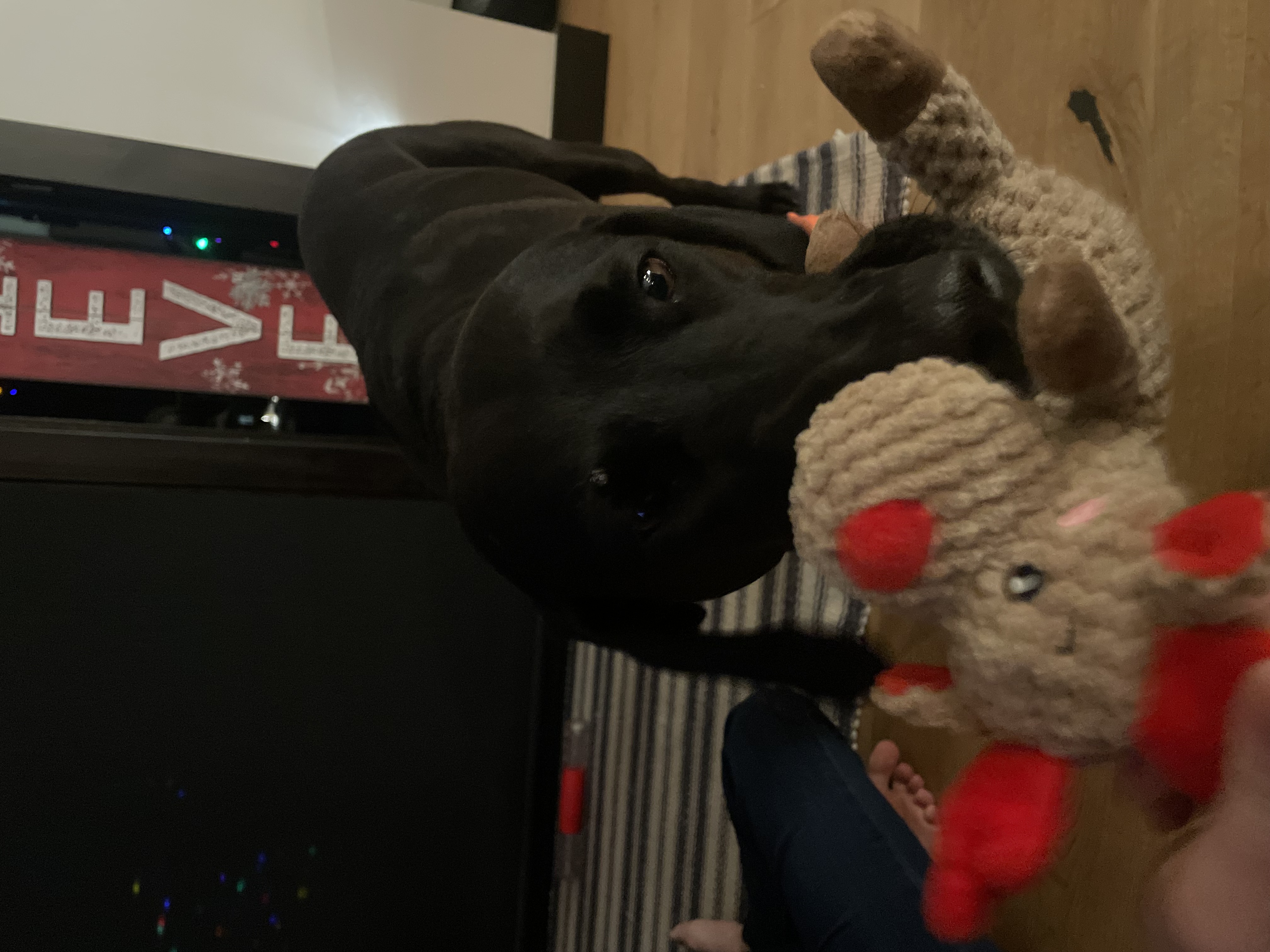 image-7