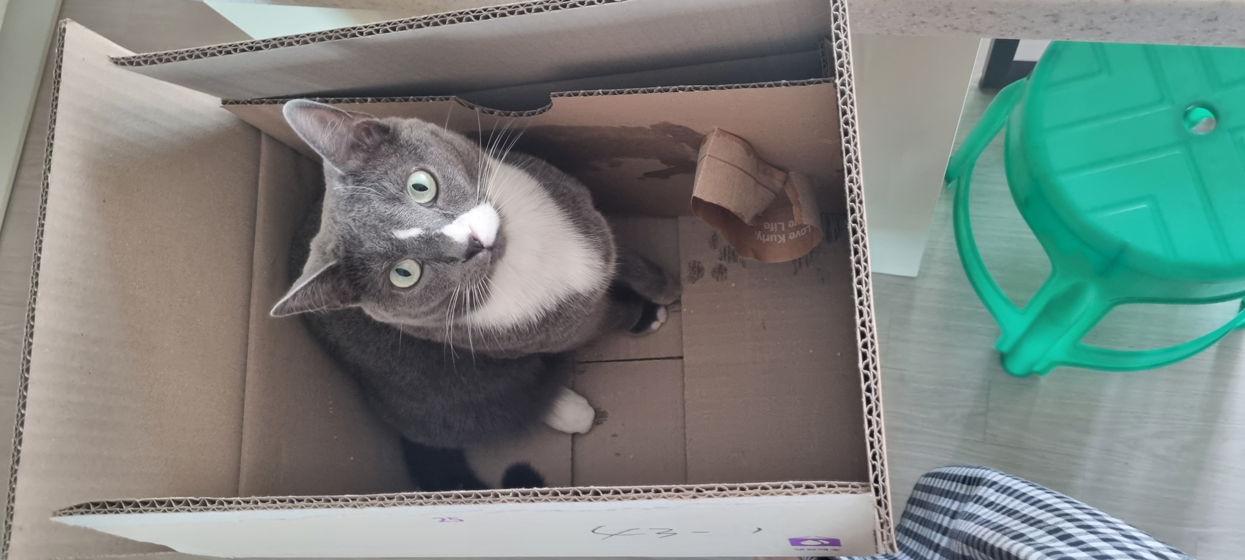 image-6