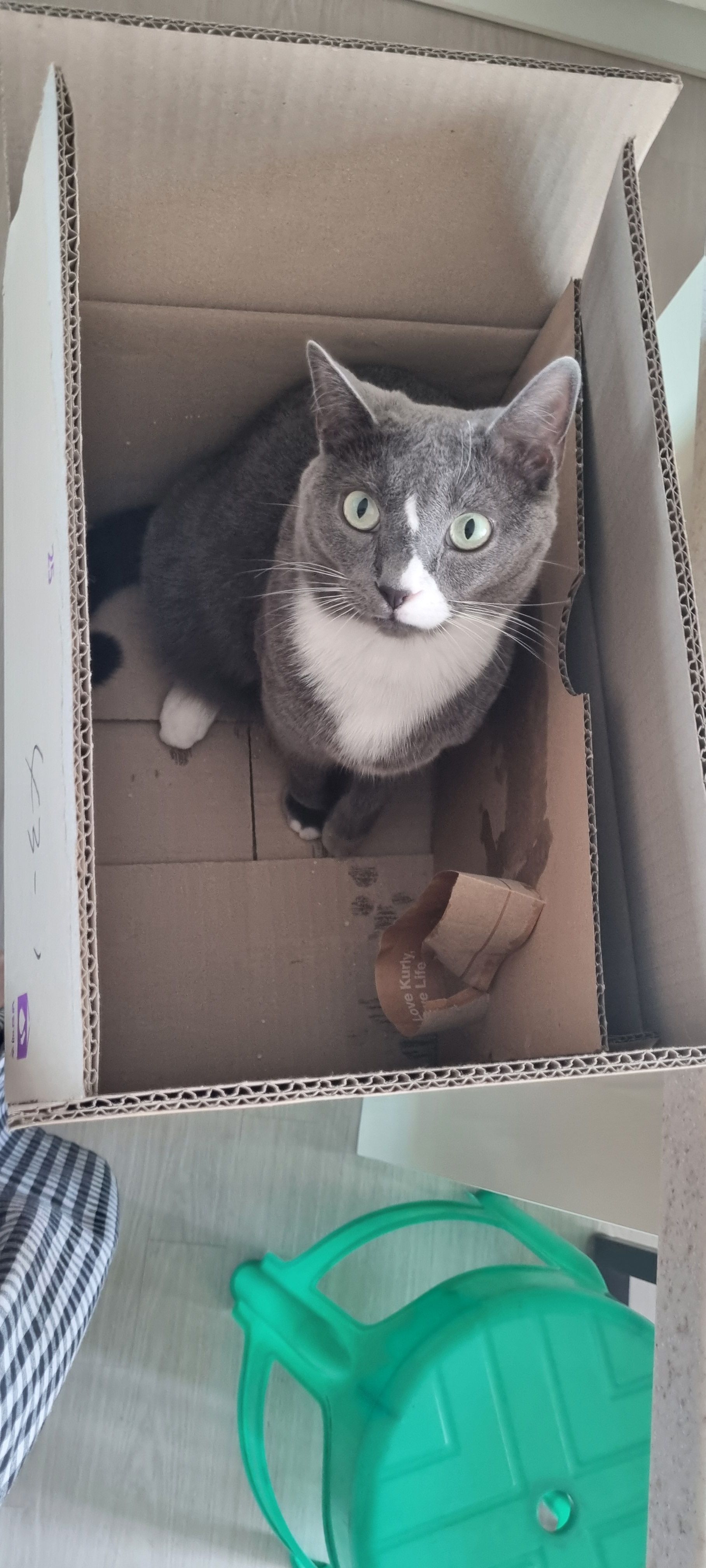image-6