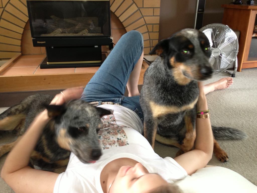 image-3