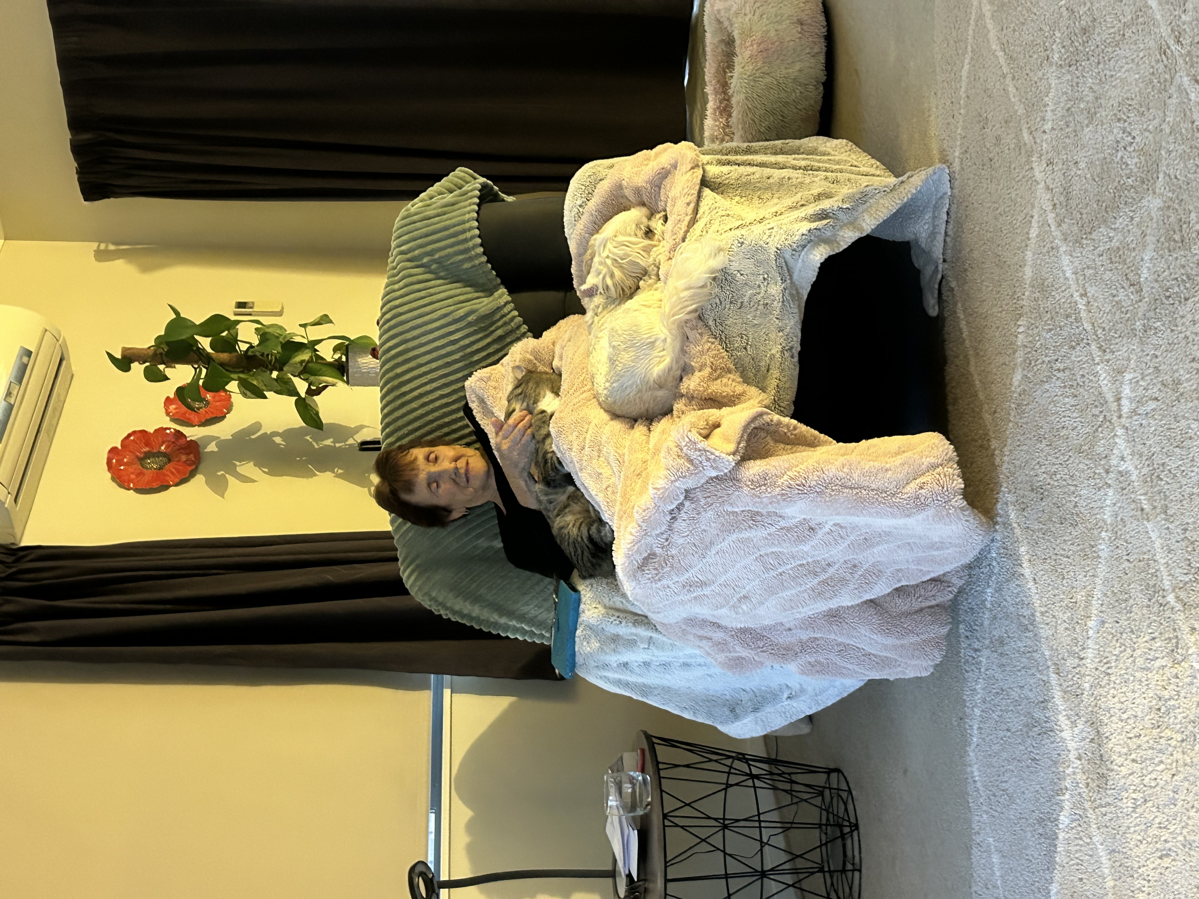 image-14