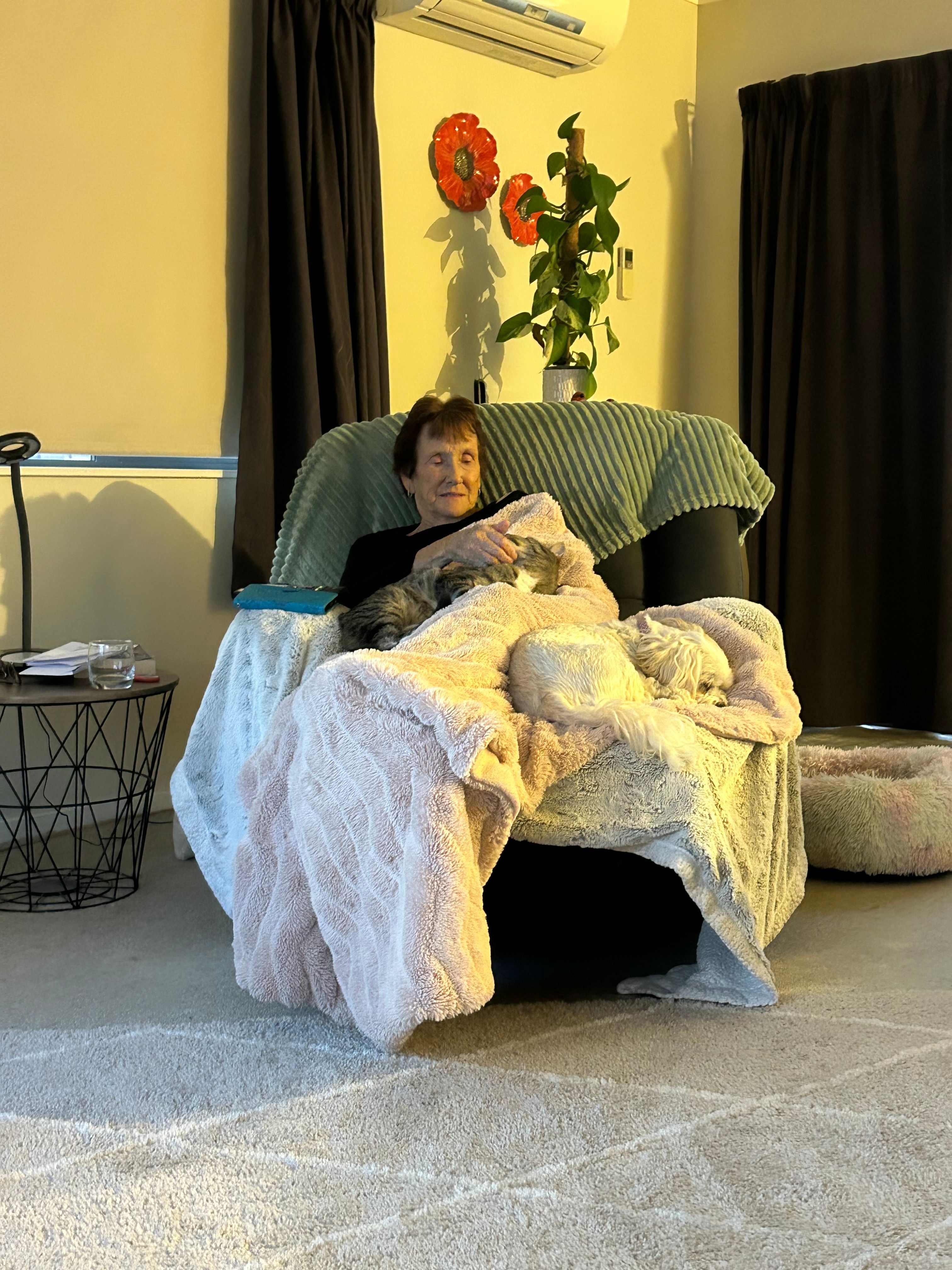 image-14