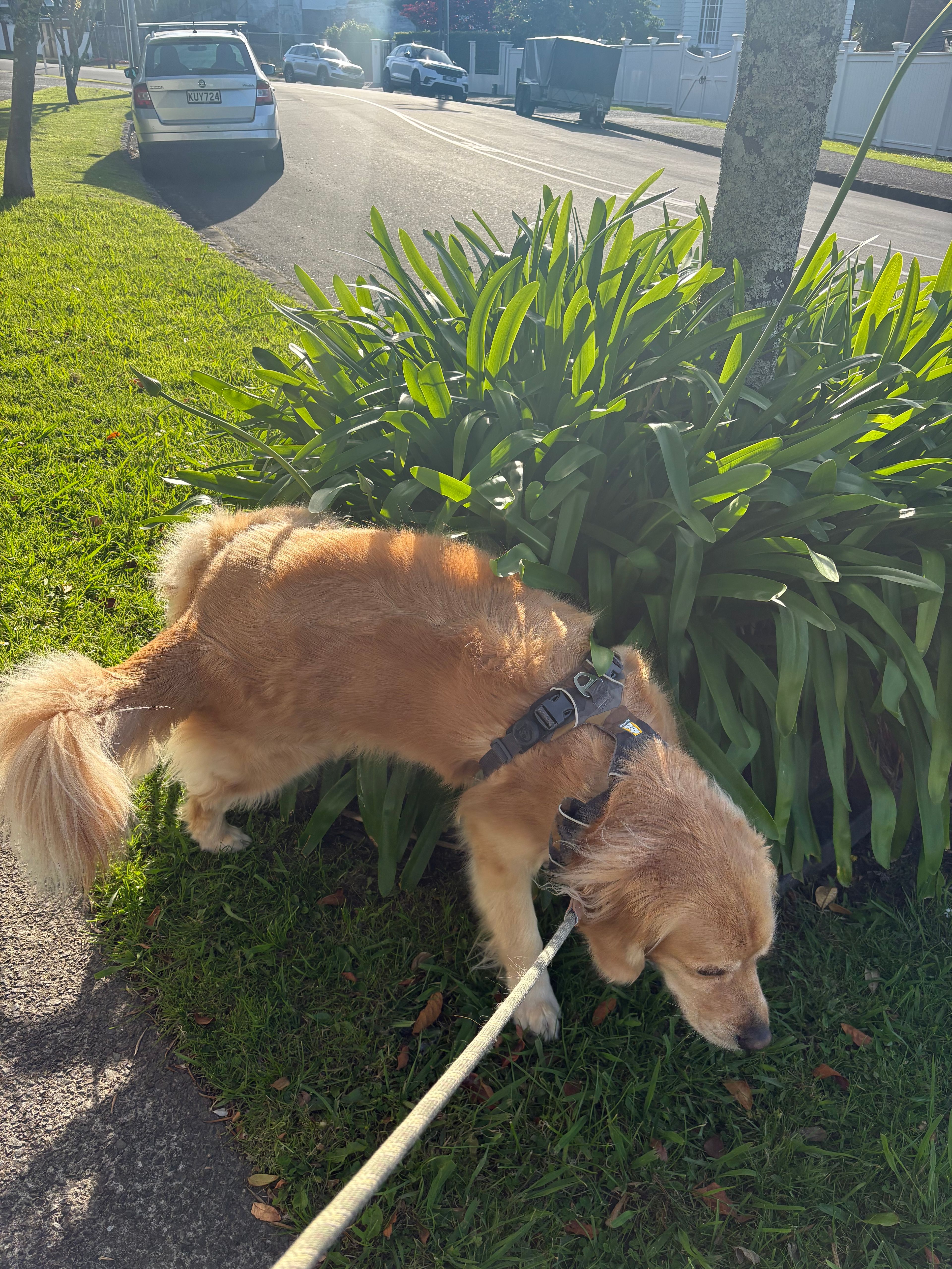 image-16