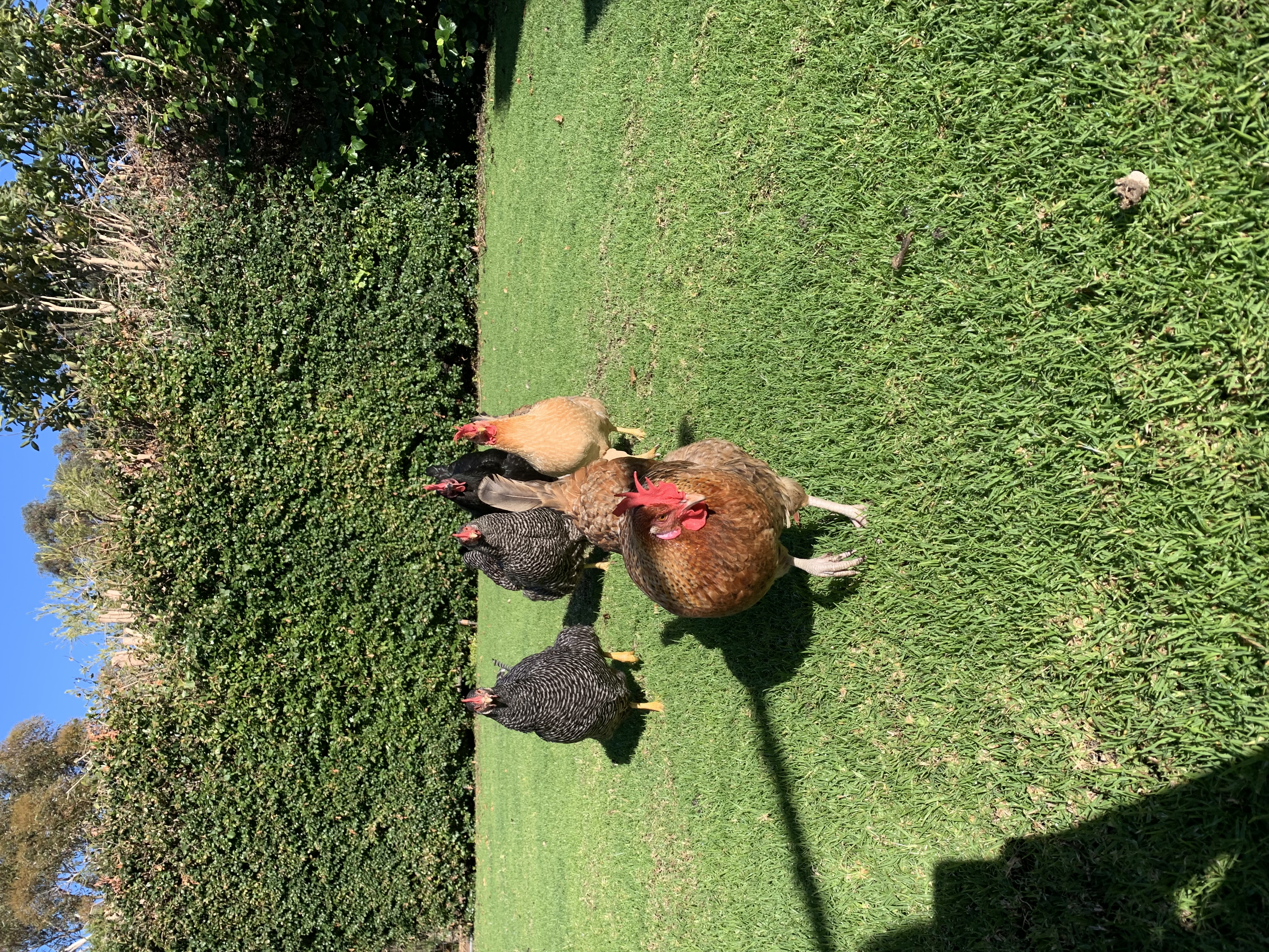 image-9