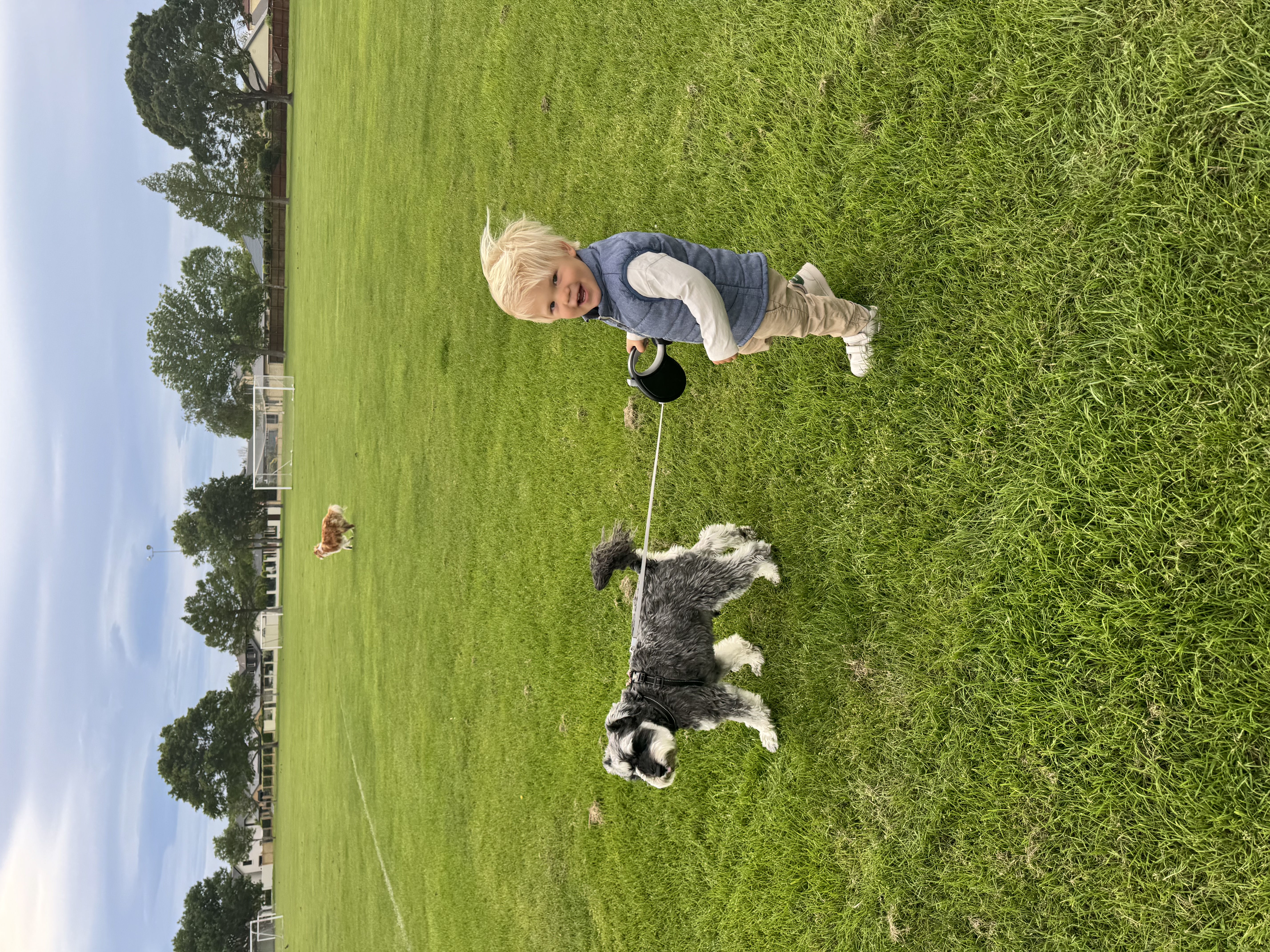 image-21