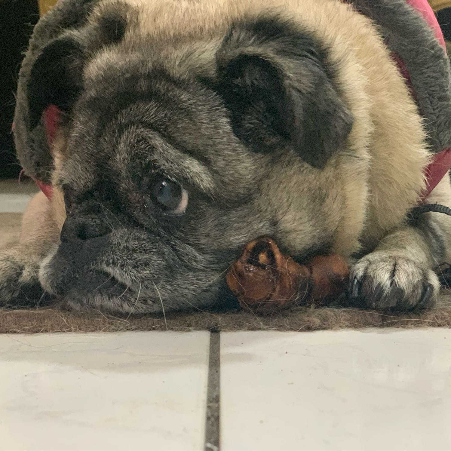 Sammy
