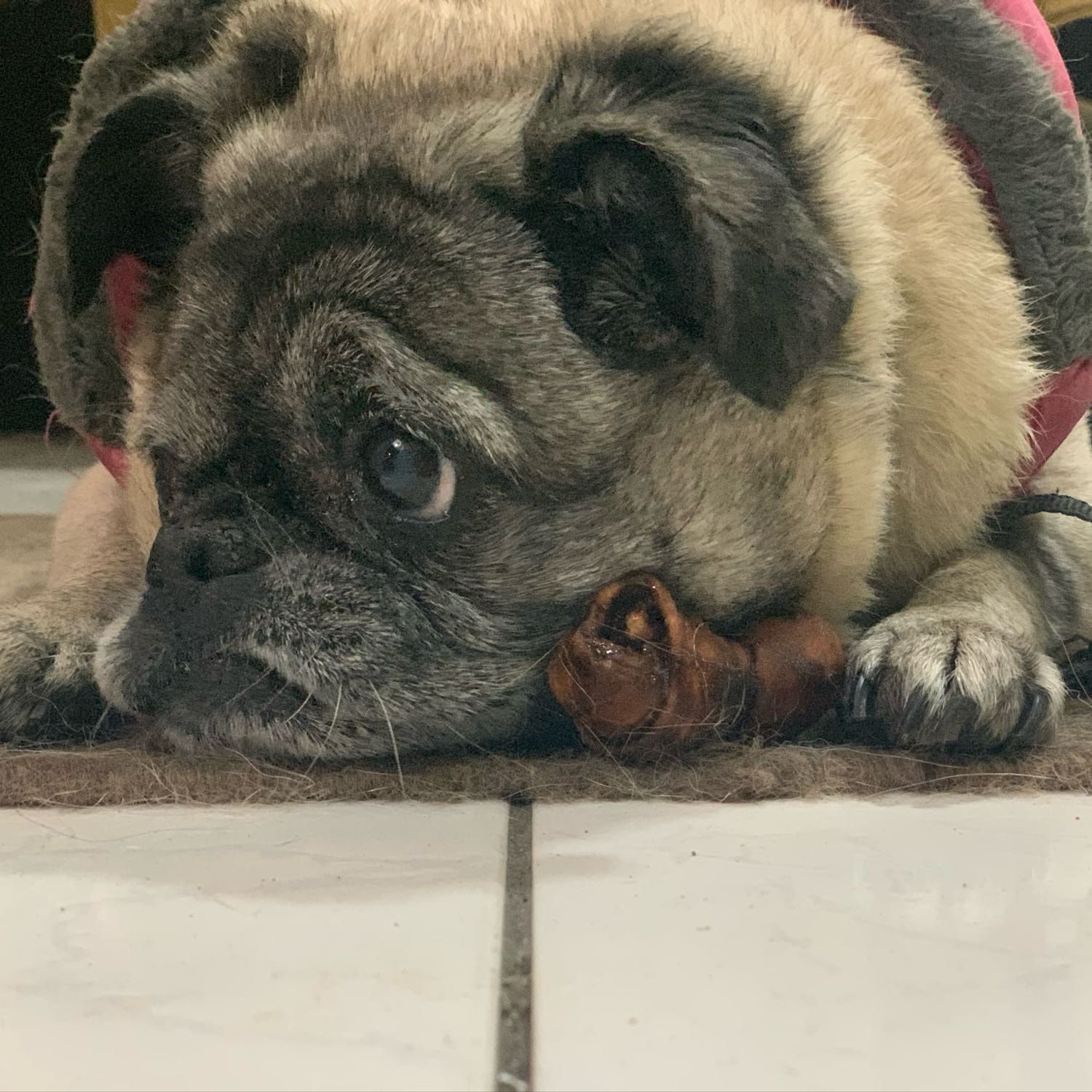 Sammy