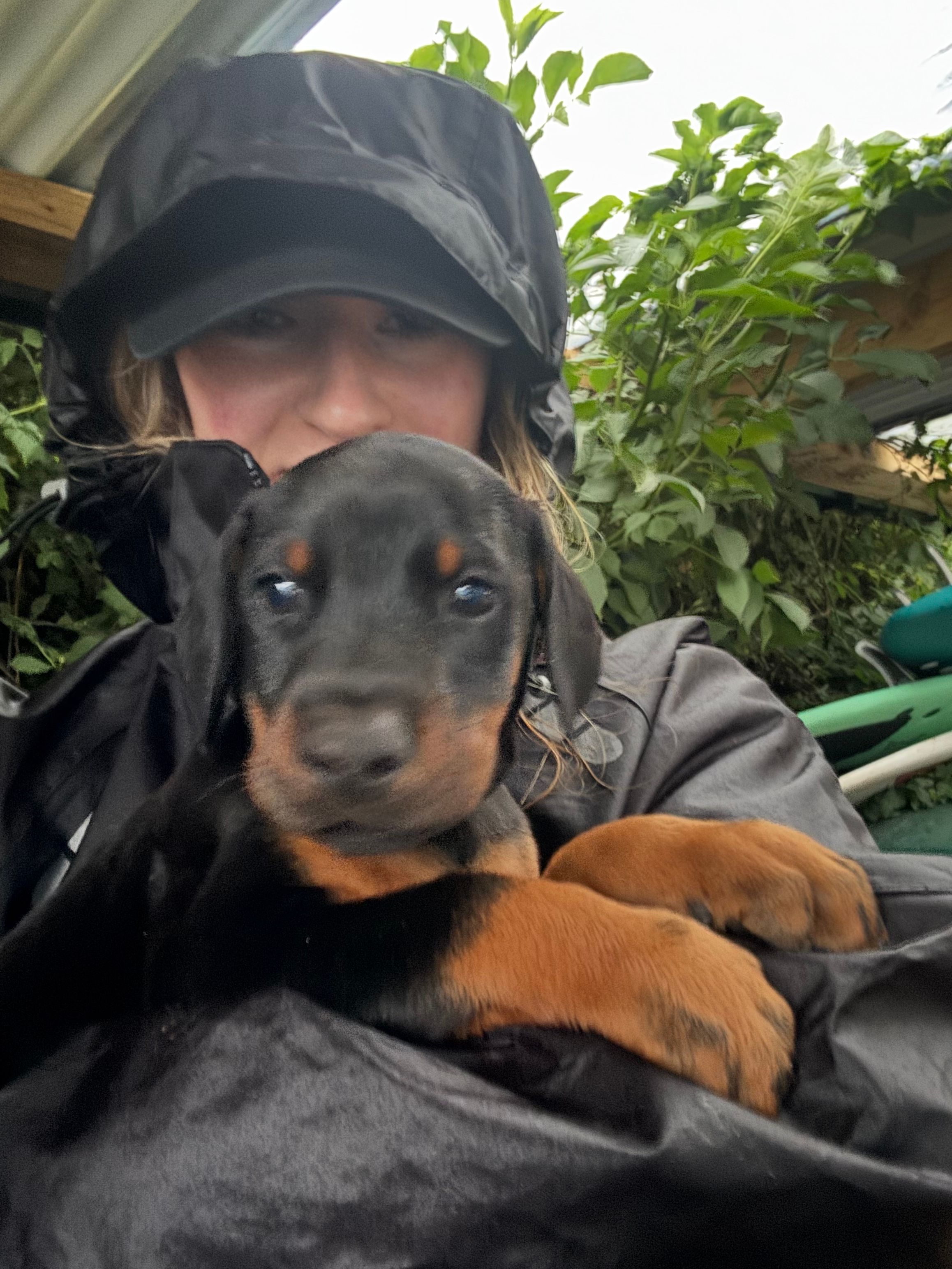 image-1