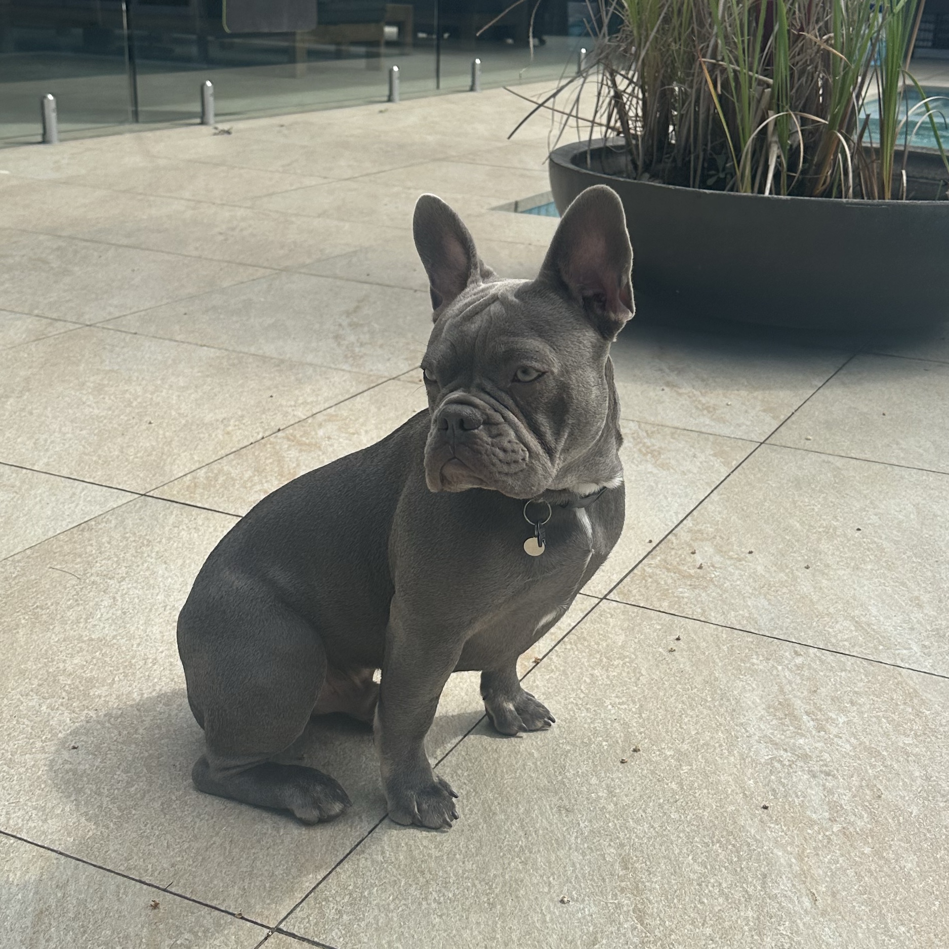 Winston 