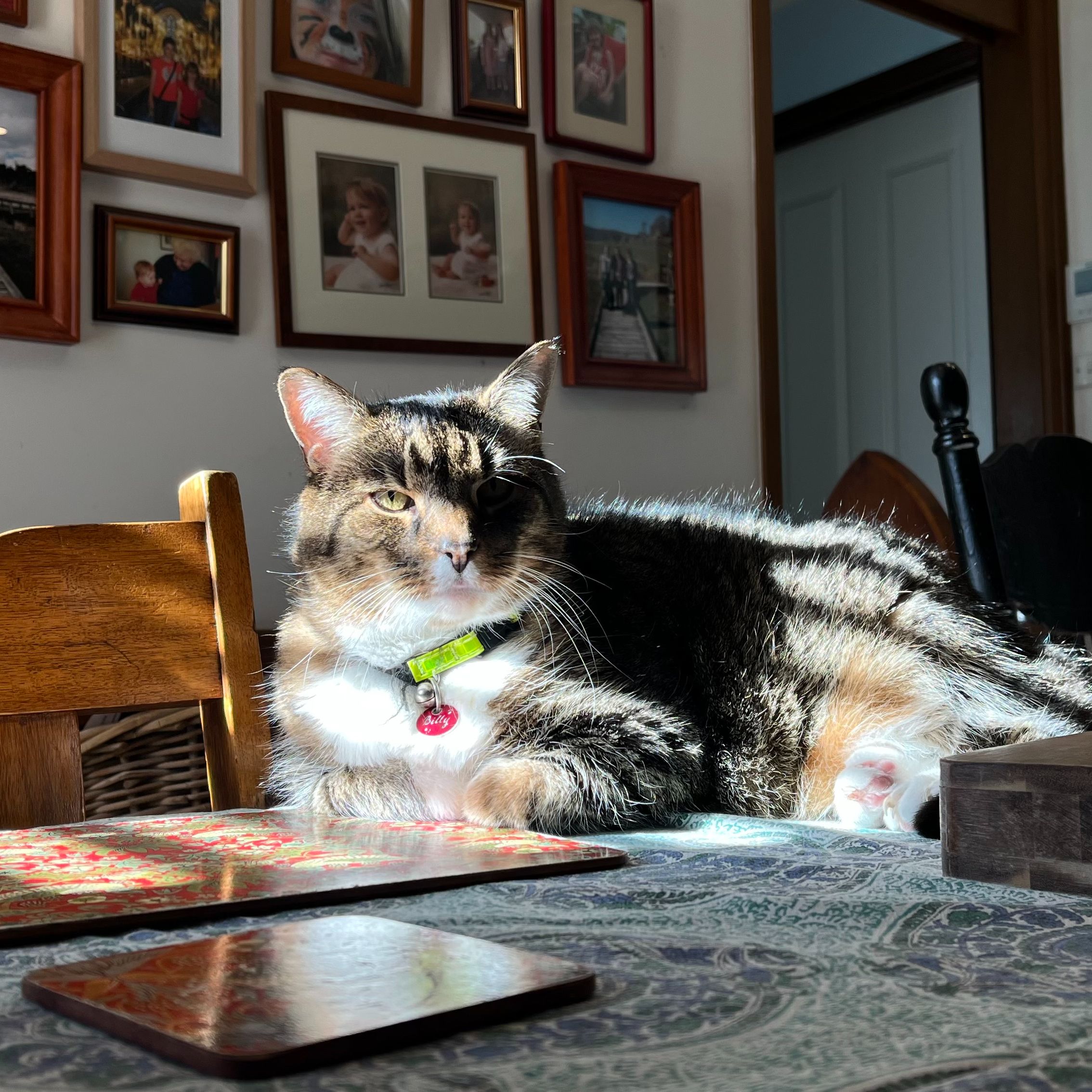 Billy