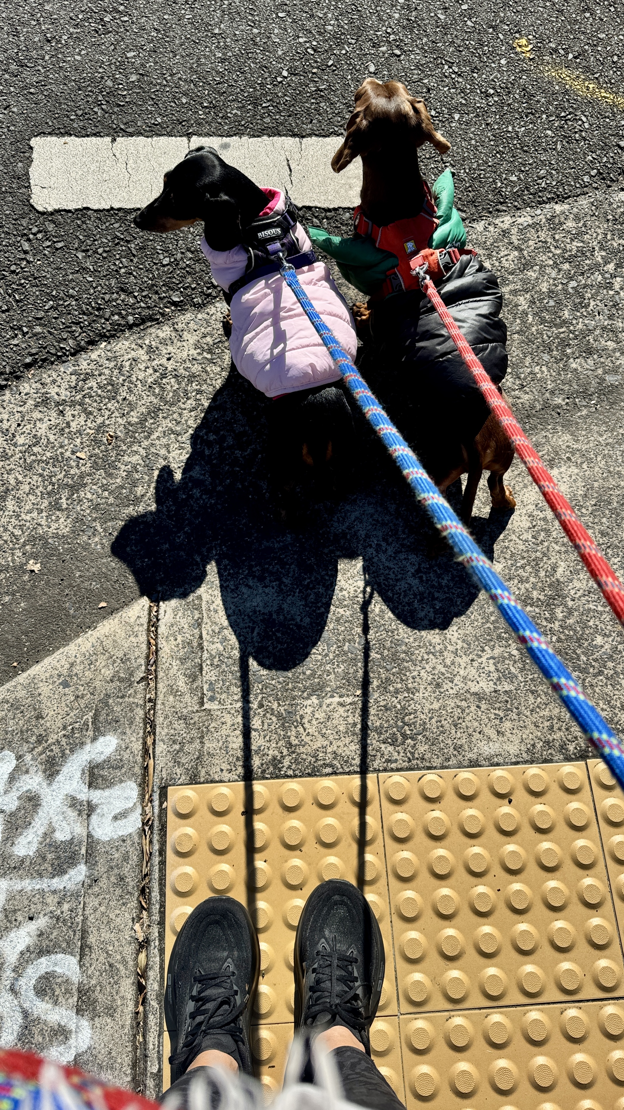 image-15