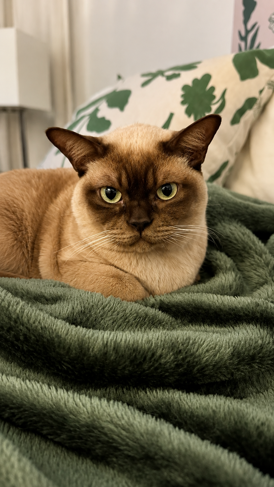 image-11