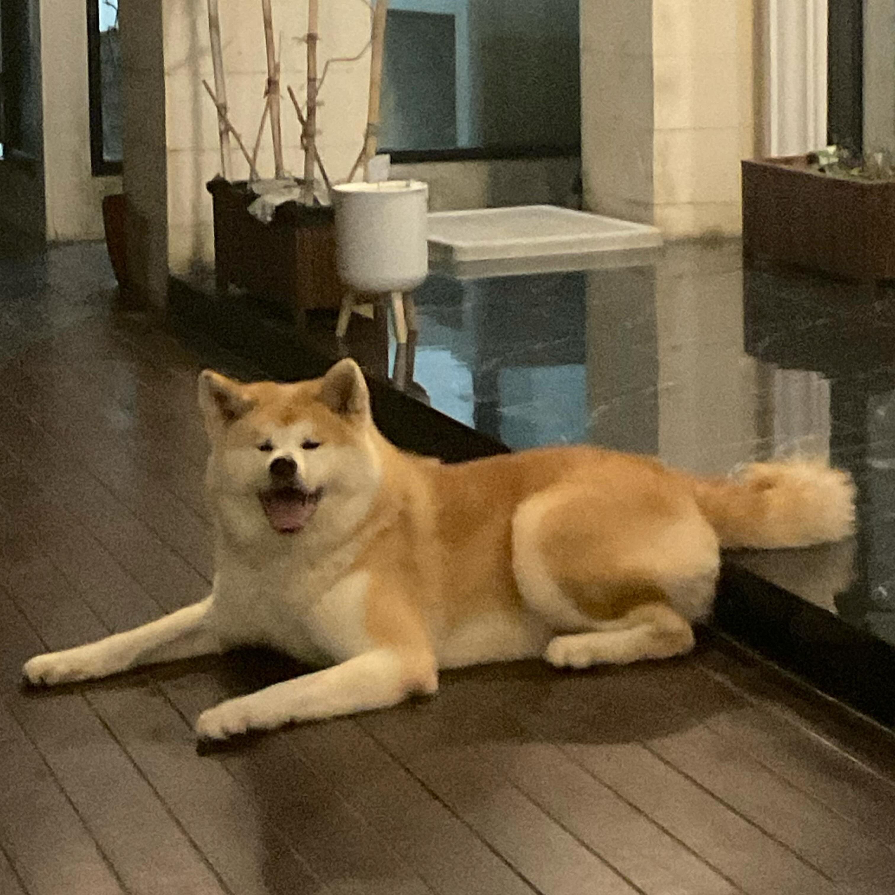 Fumi