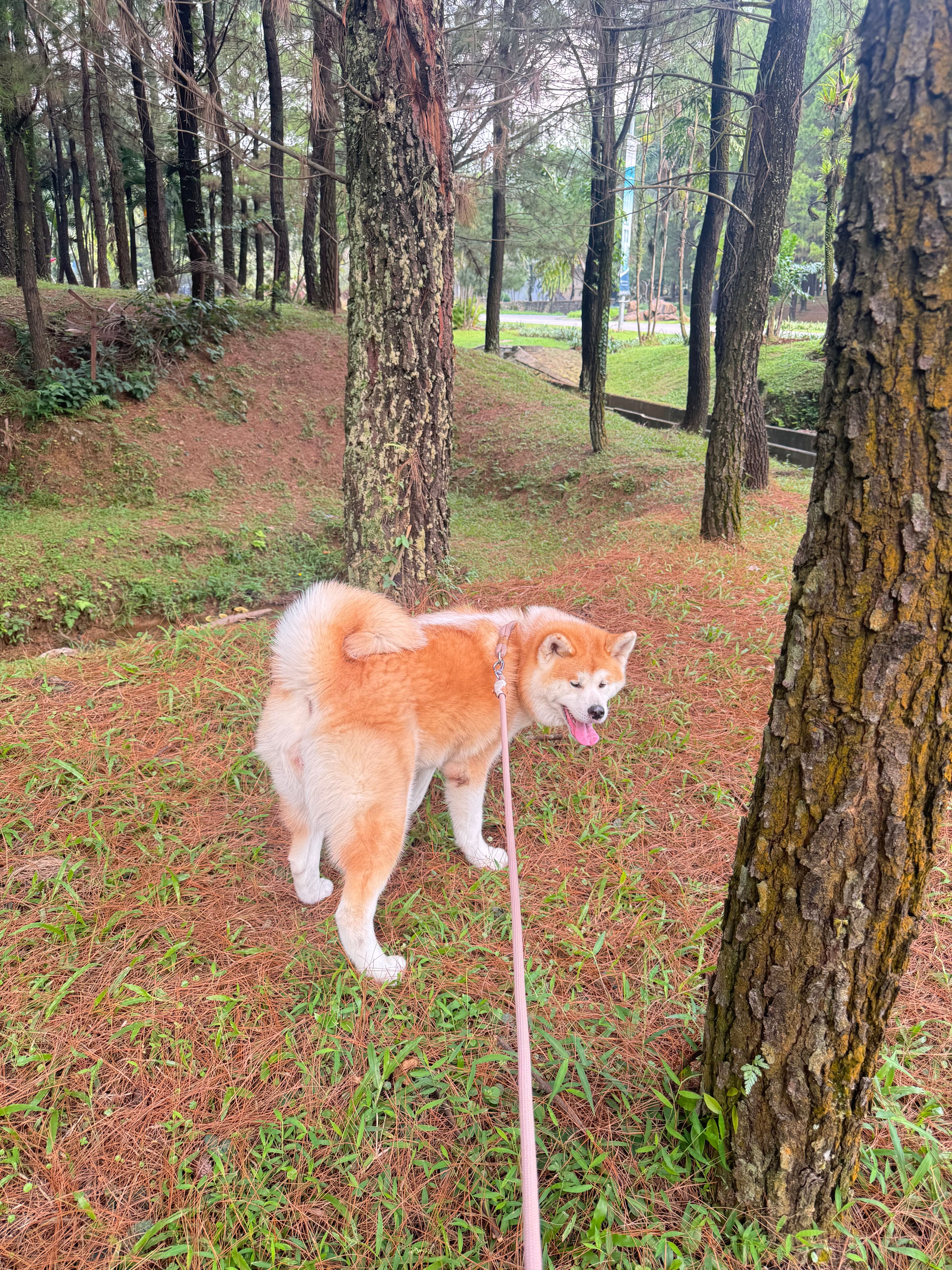 image-9