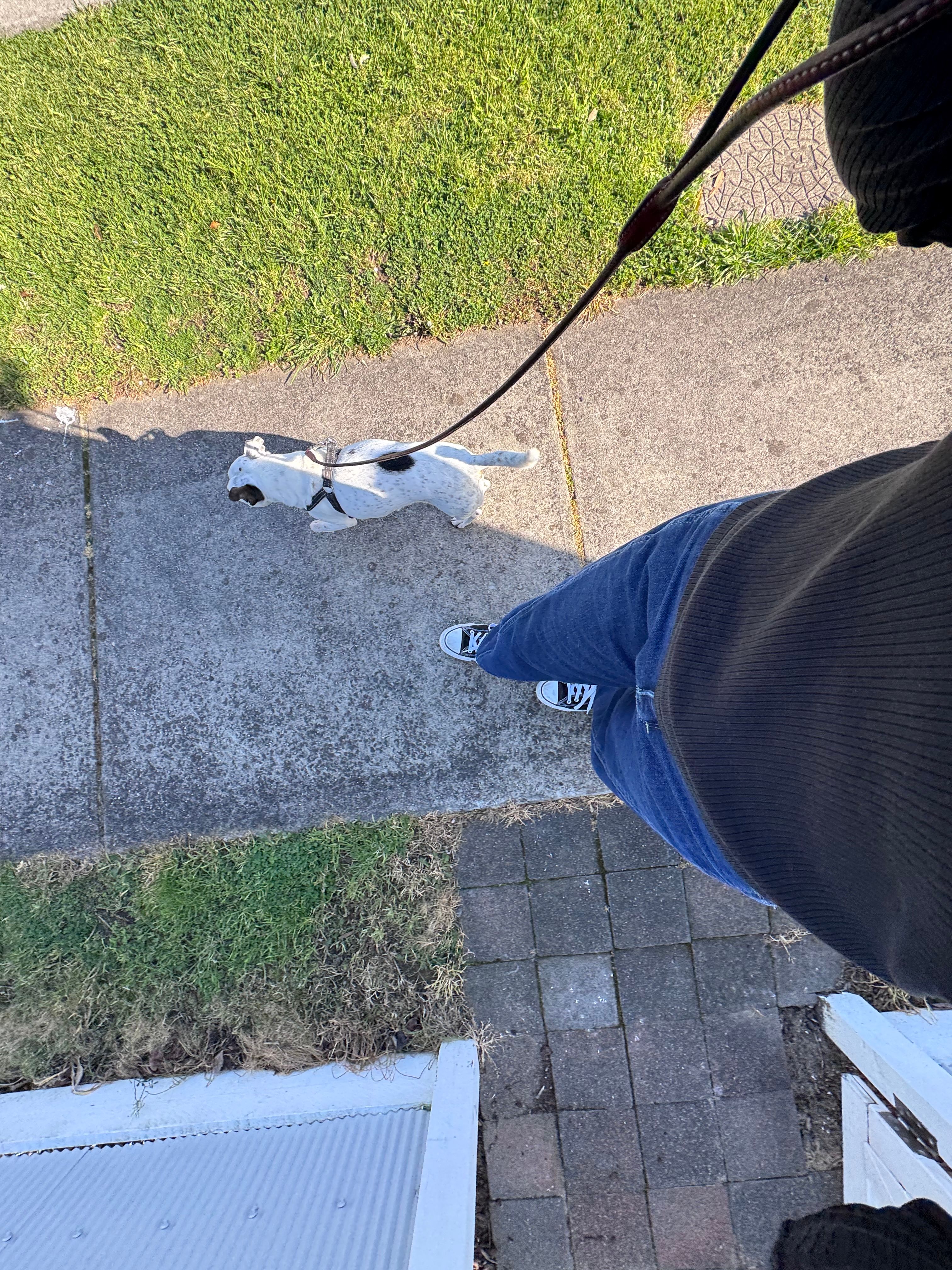 image-4
