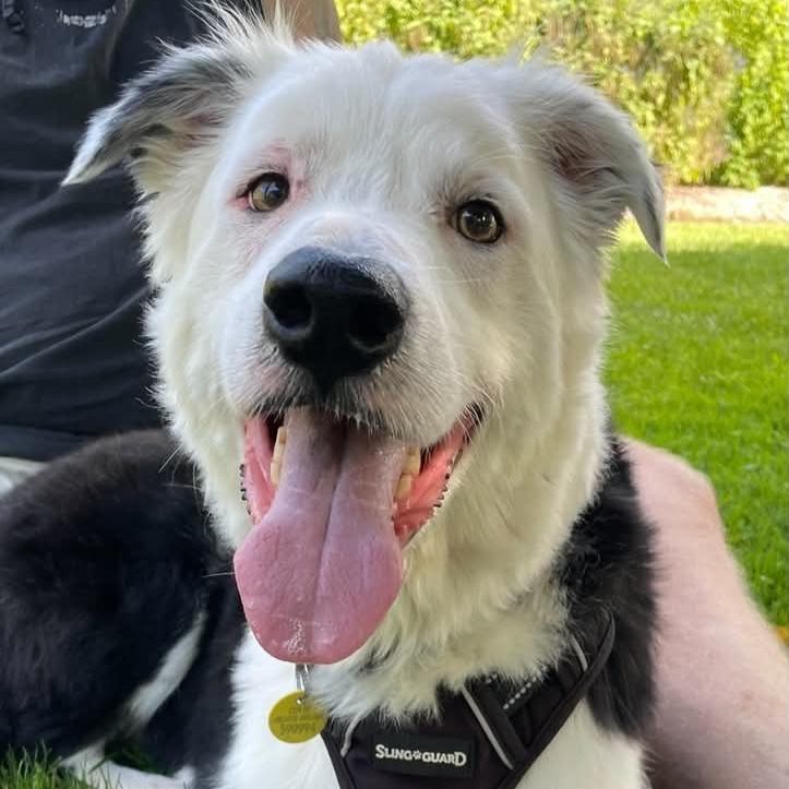 Jax