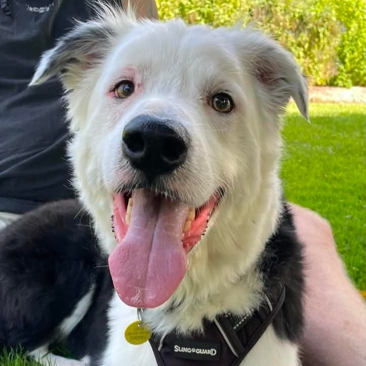 Jax