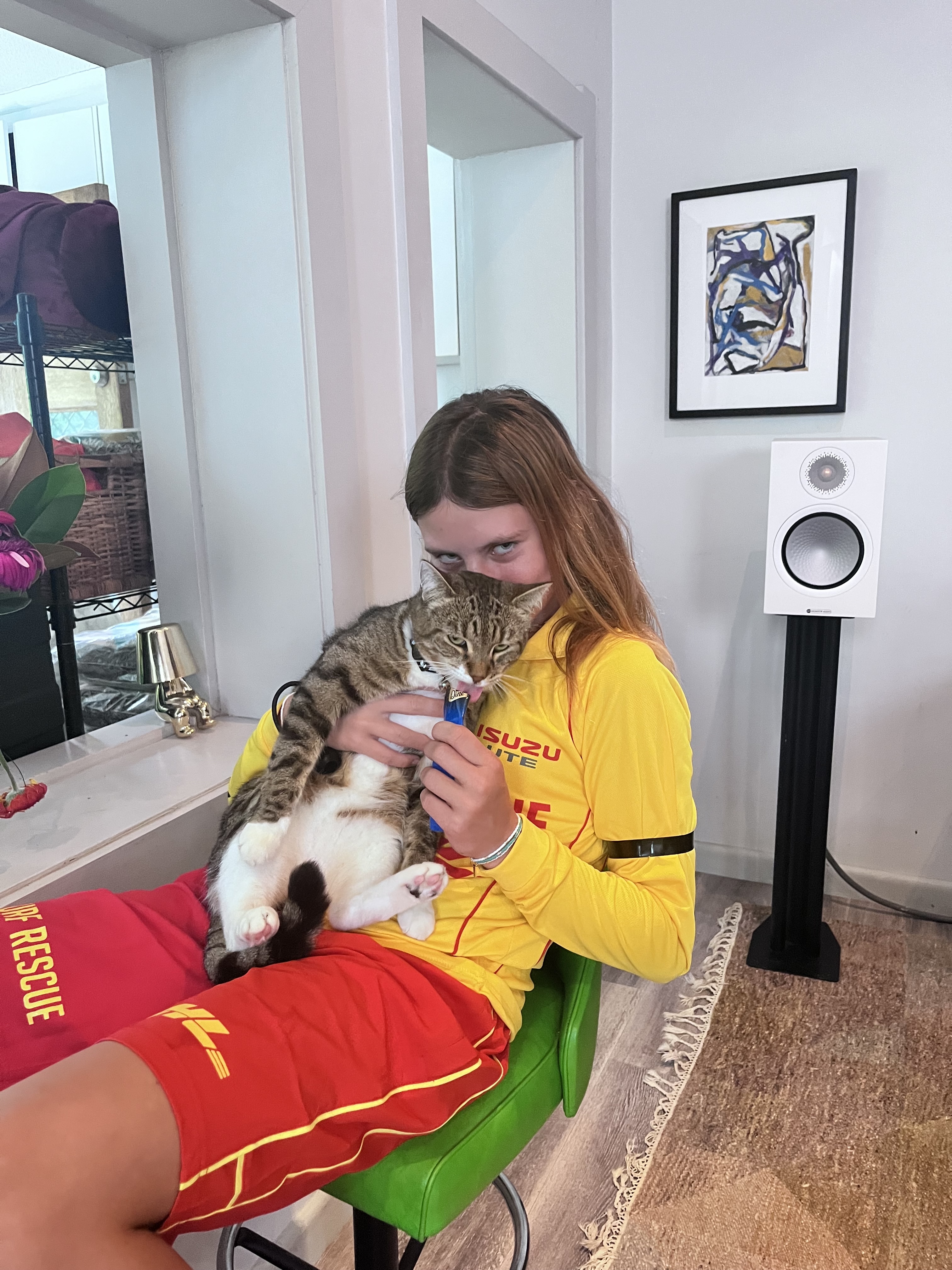 image-6