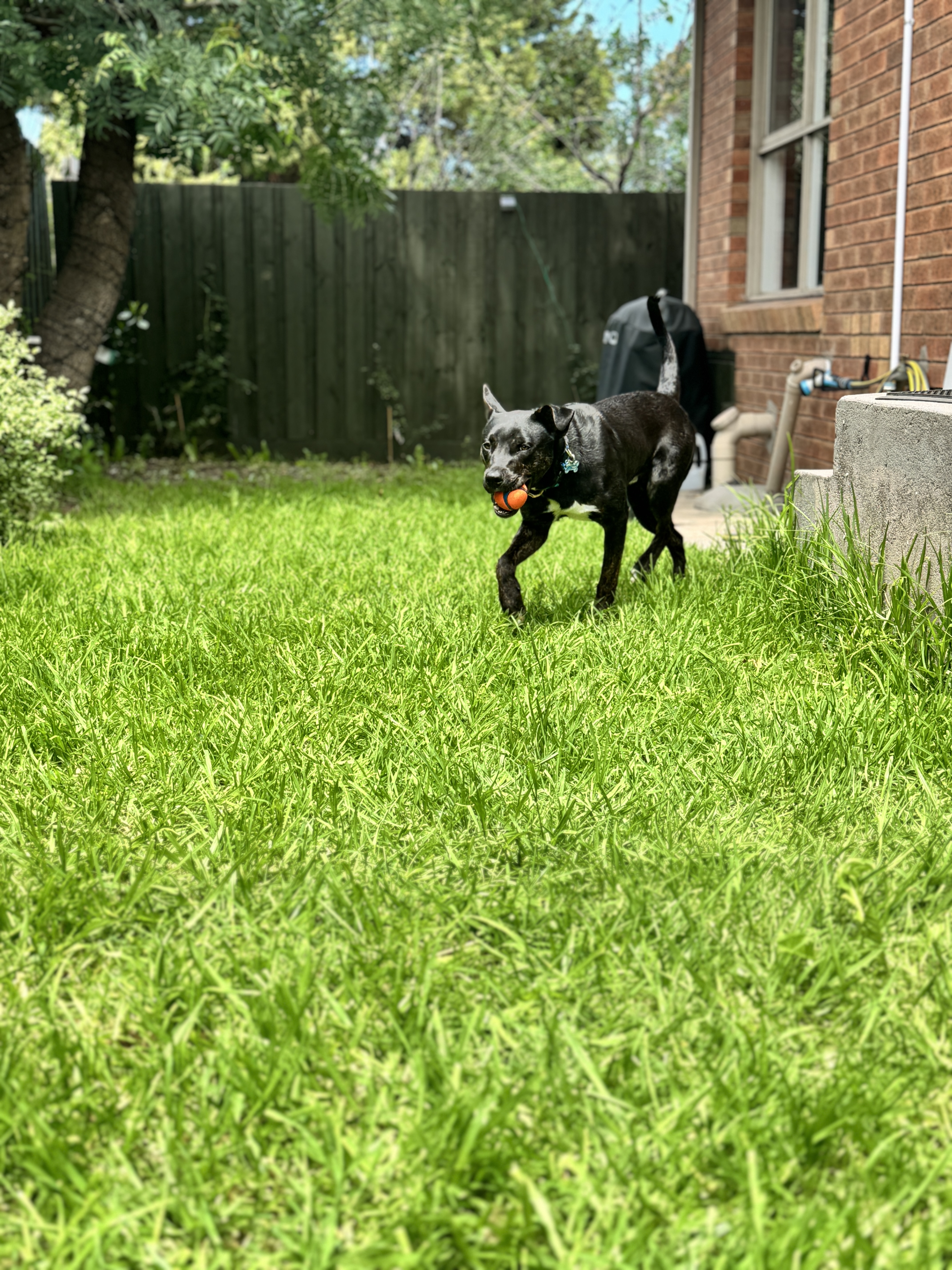 image-14