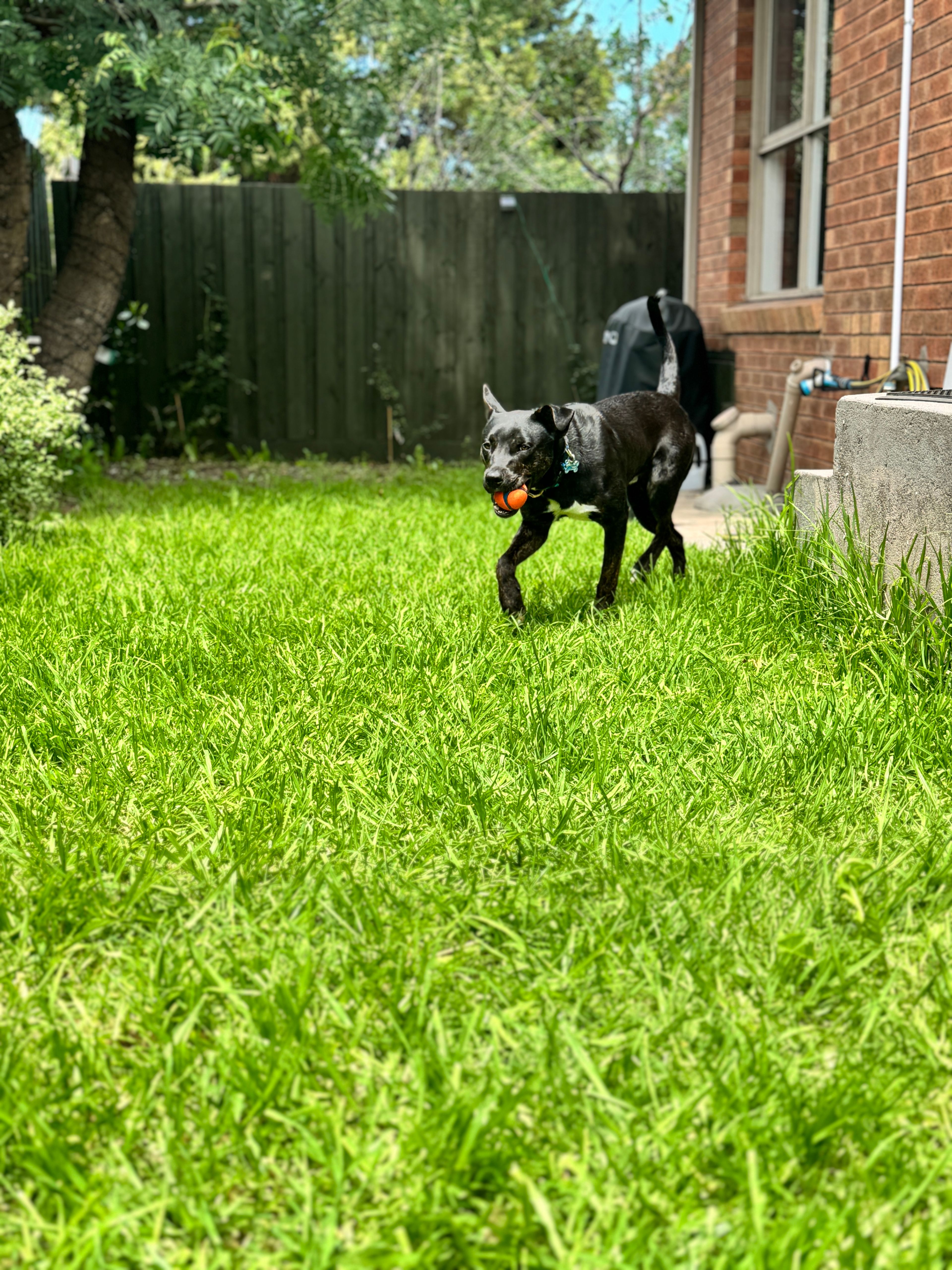 image-14