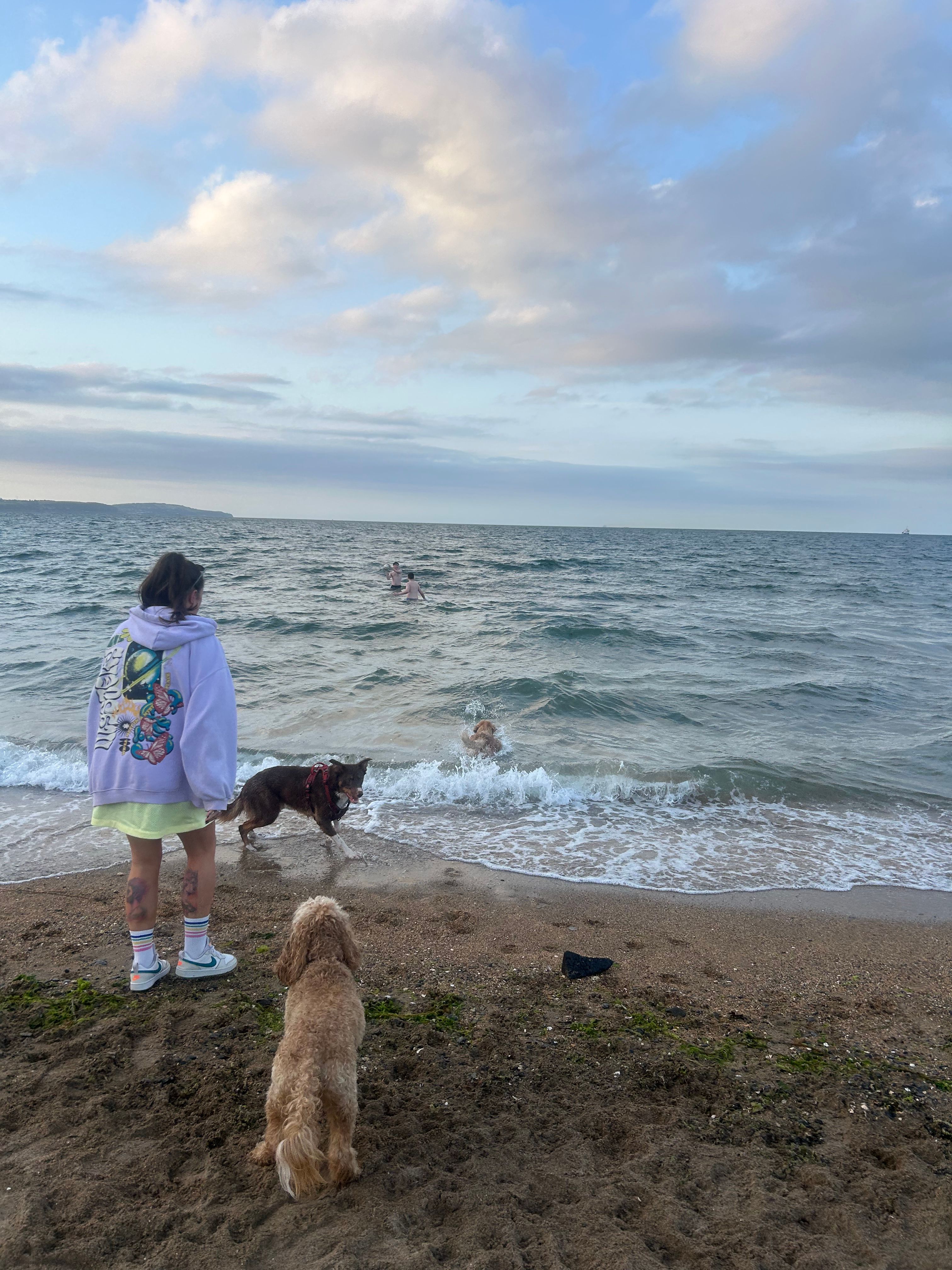 image-8