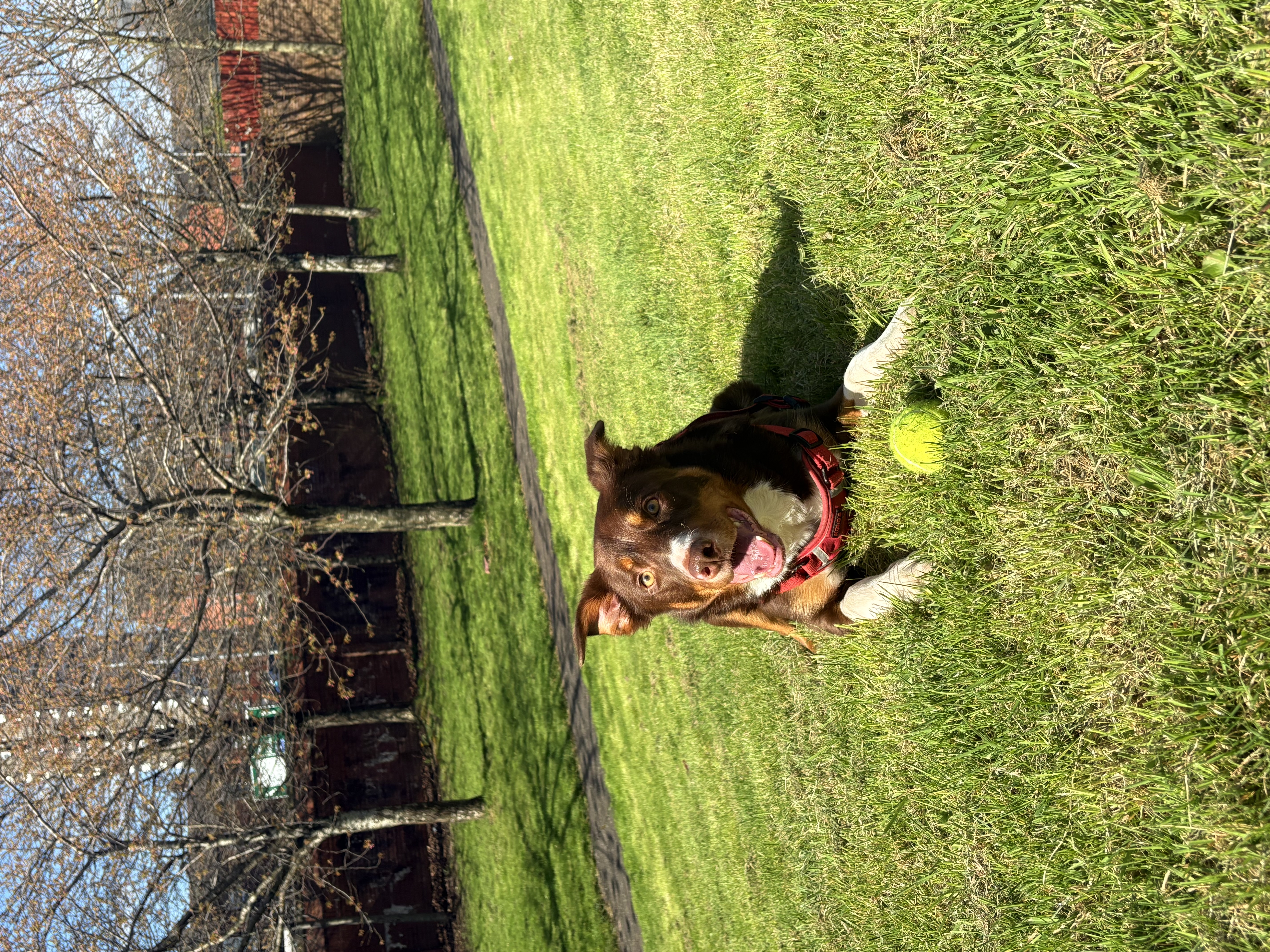 image-4