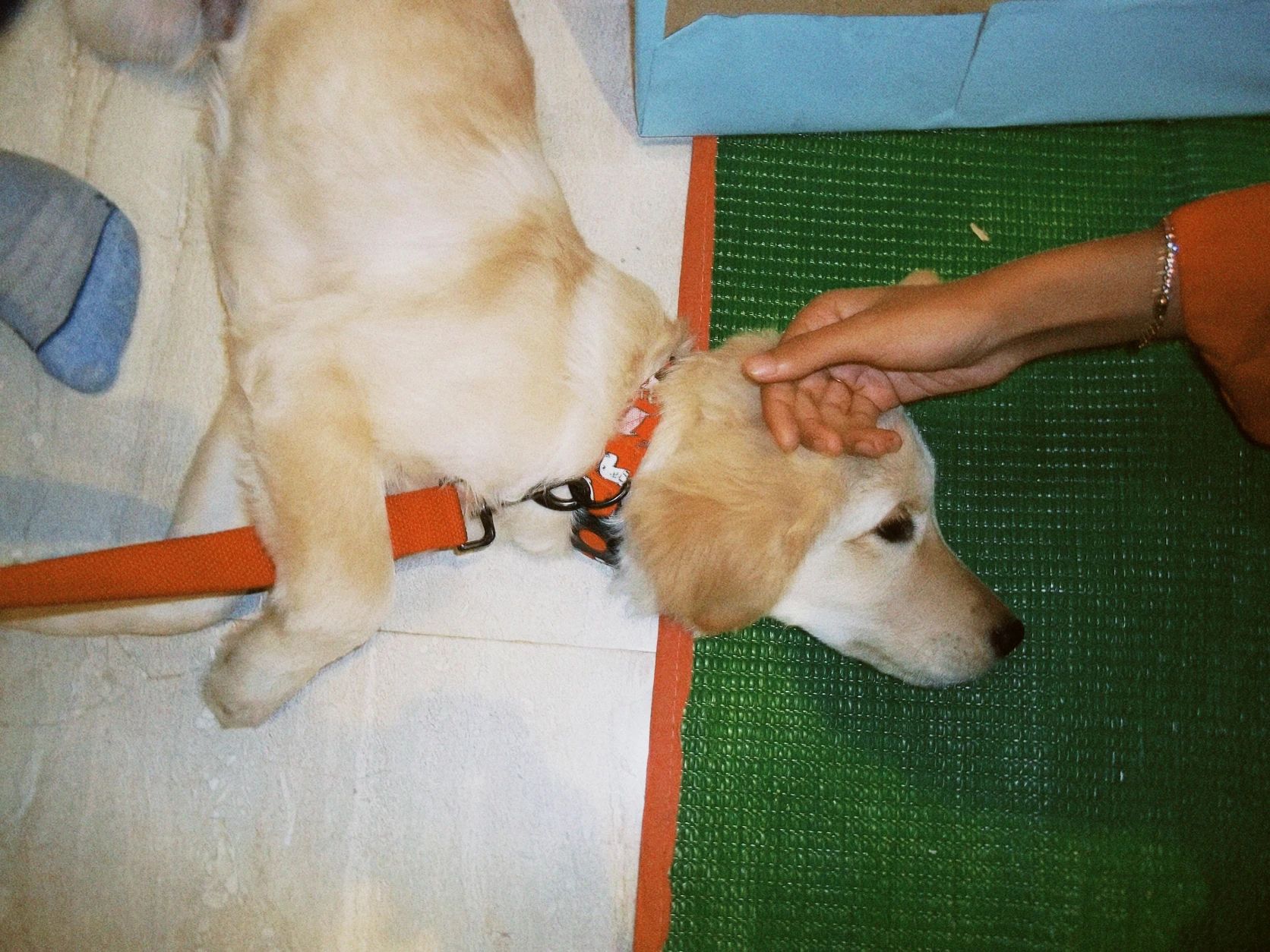 image-5
